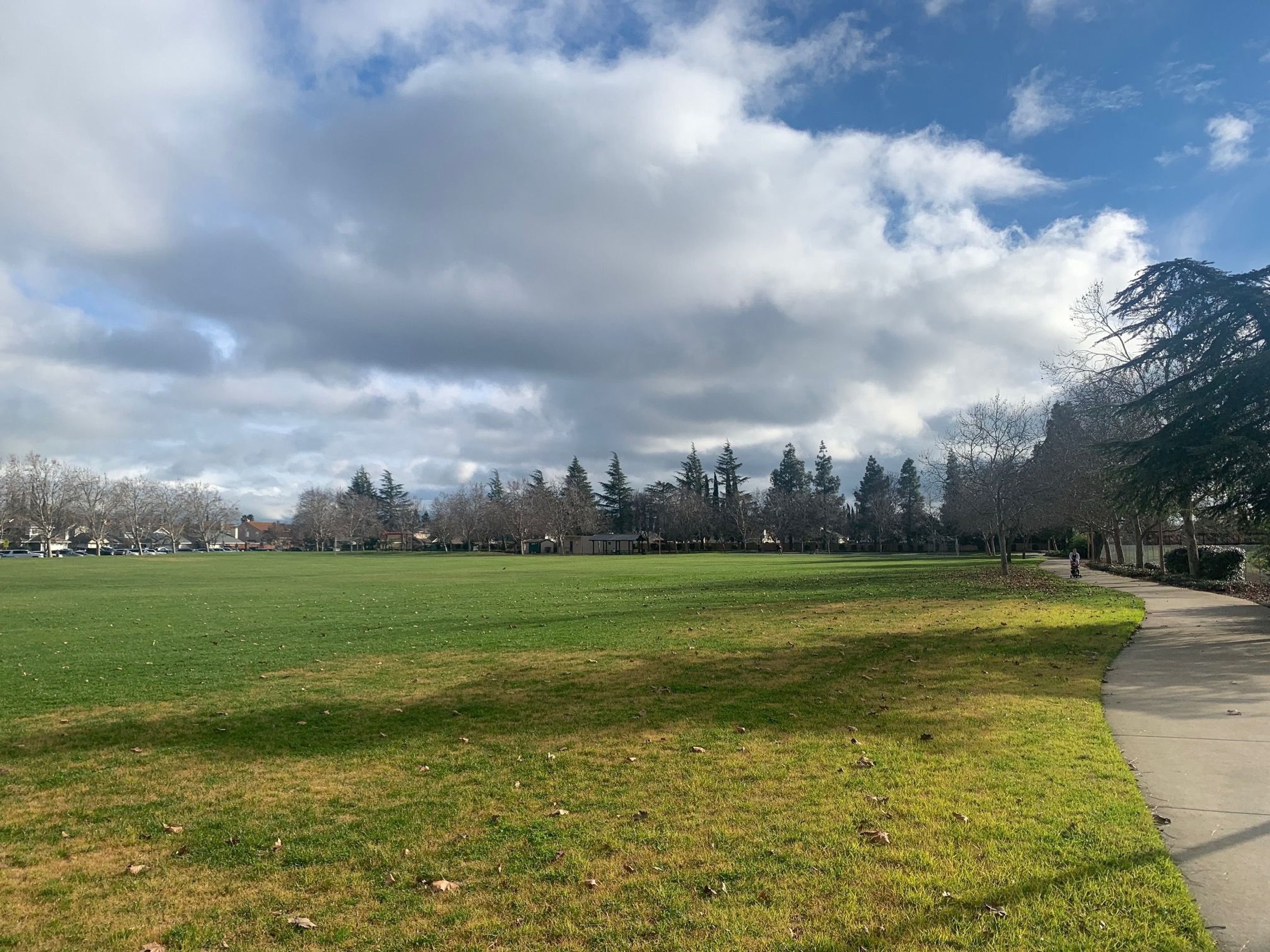 Meadowlands Park field