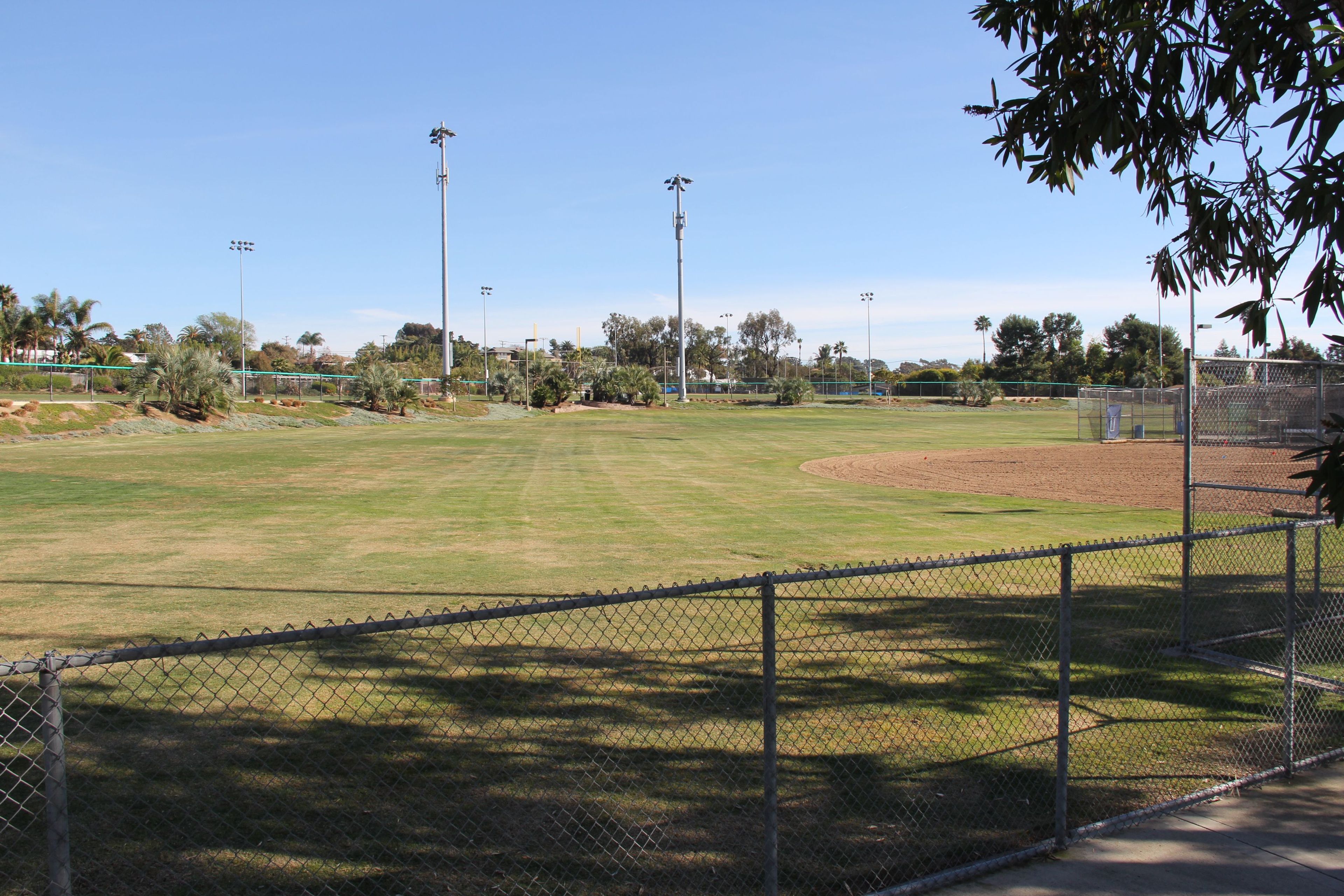 Cardiff Sports Park field