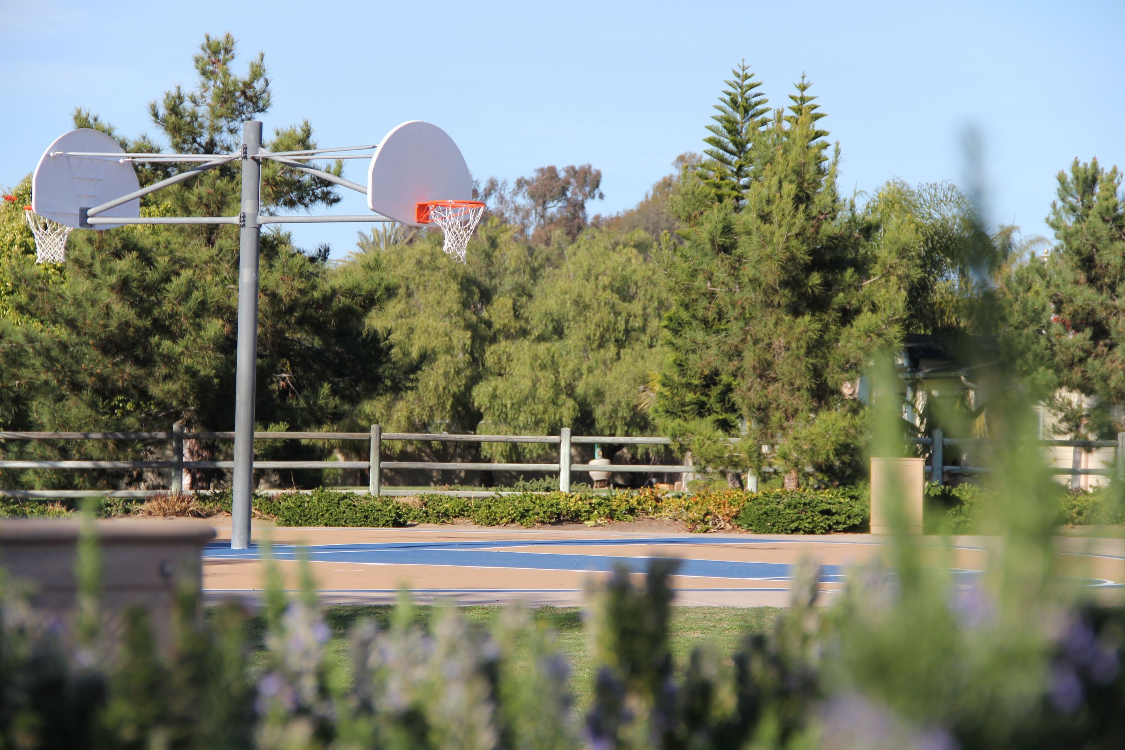 Cardiff Sports Park basketball court