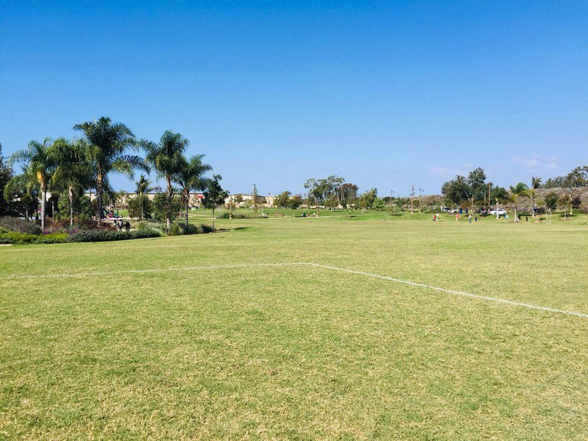 Encinitas Community Park field