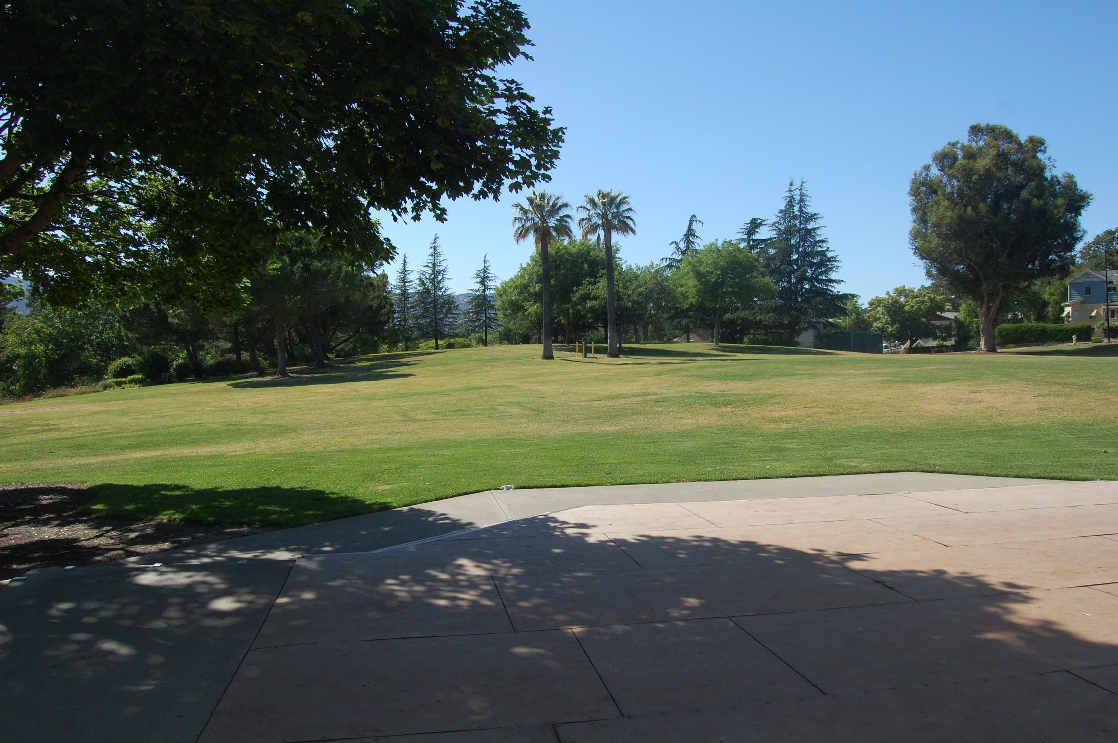 Andrews Park open field