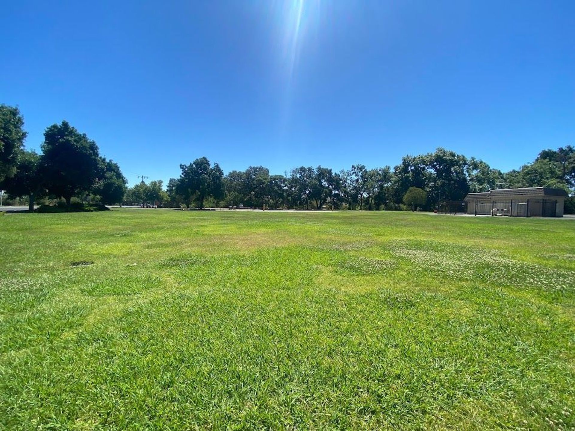 Patwin Park open field