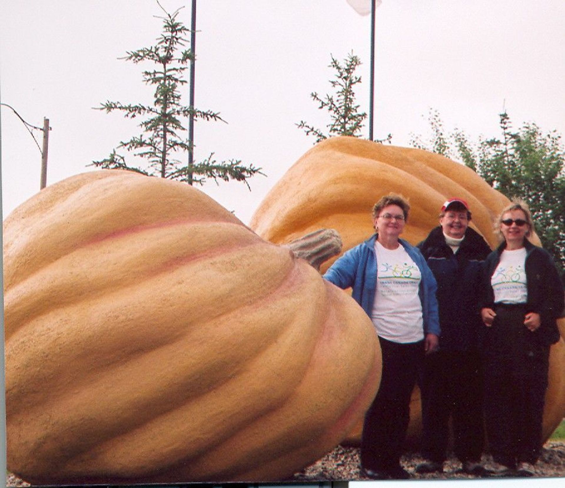 Pumpkin Park with early supporters