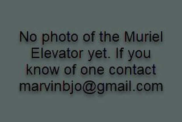 Muriel Elevator Placeholder