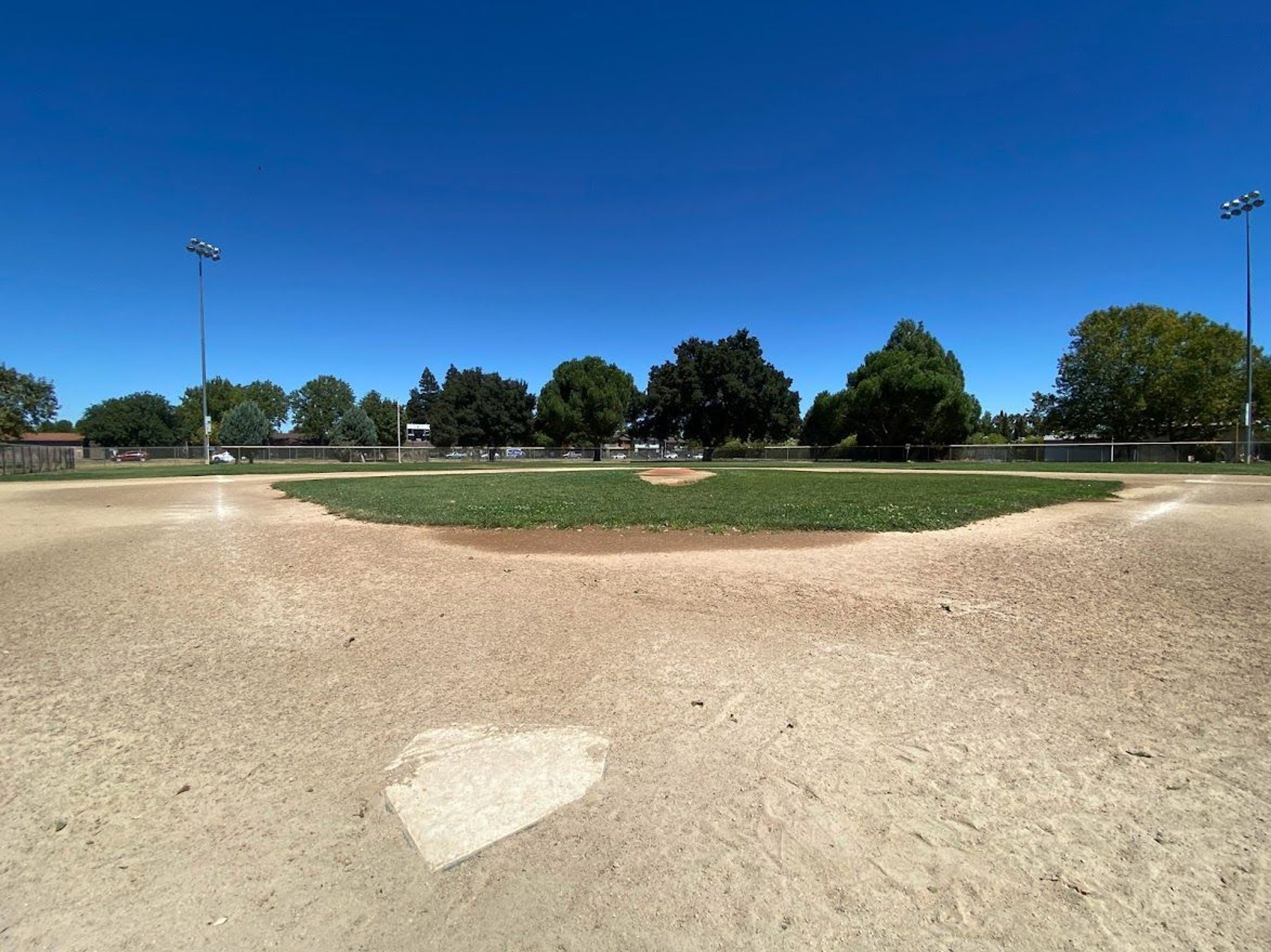 Keating Park Field A Close Up