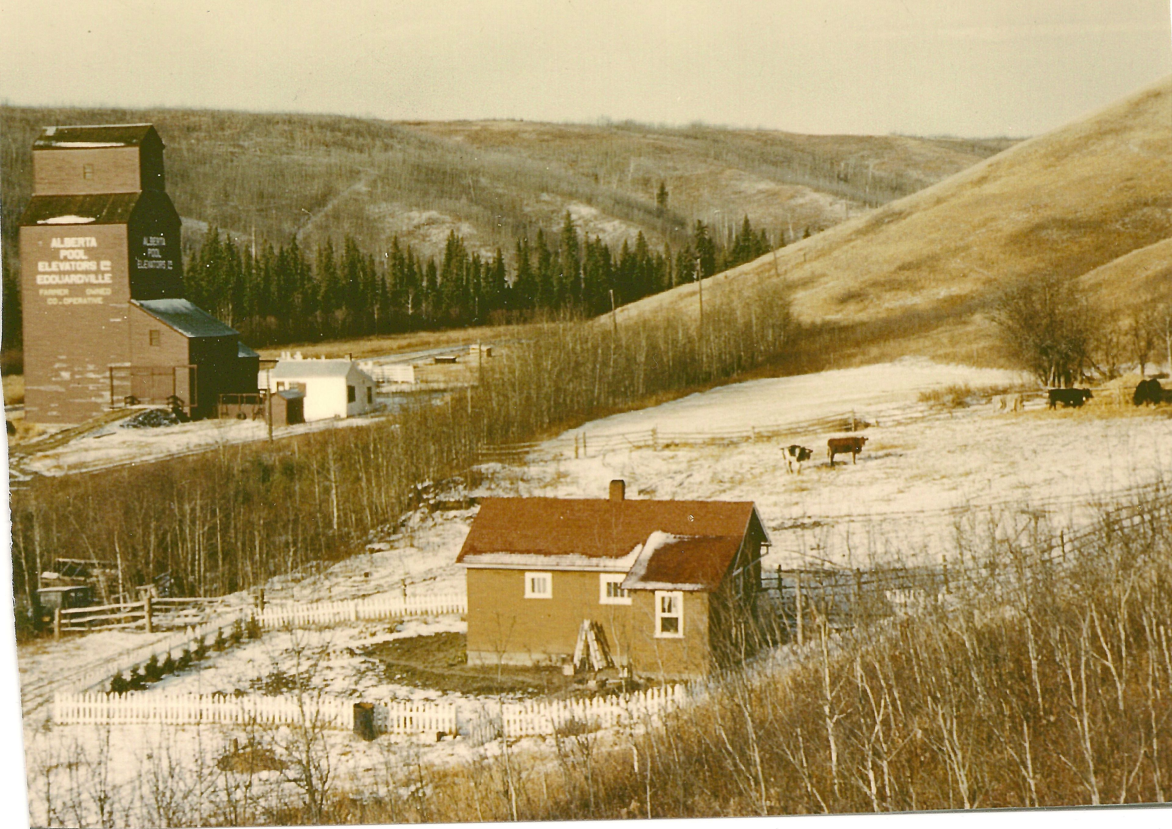 Edouardville in 1950s