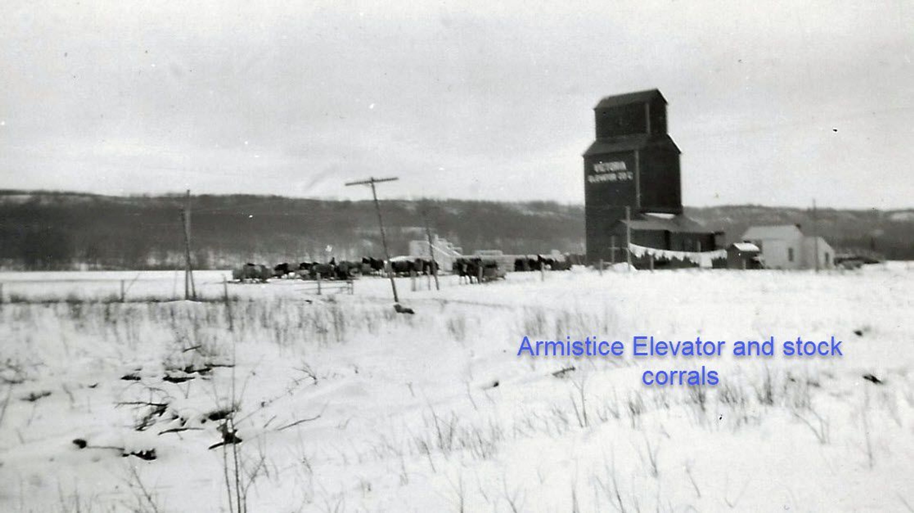 Armistice Elevator and Stock Corrals