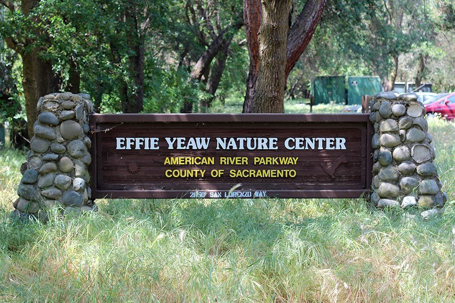 Yeaw Effie Yeaw Nature Center - Areas - OuterSpatial