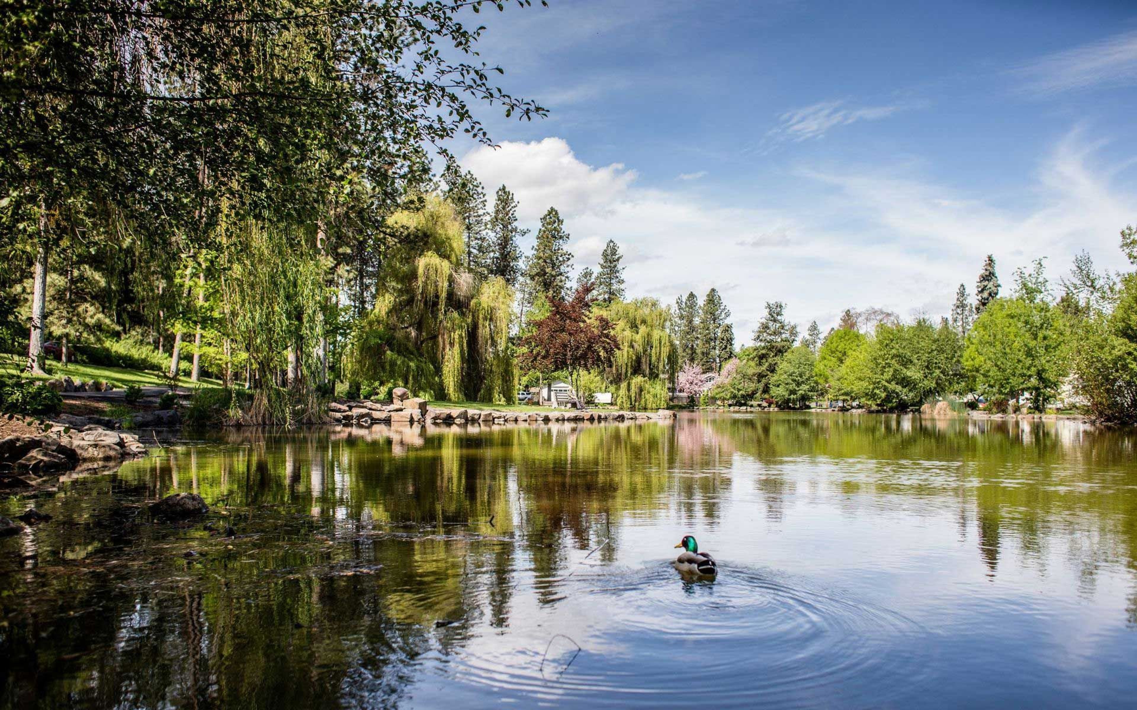 Mirror Pond in Manito Park