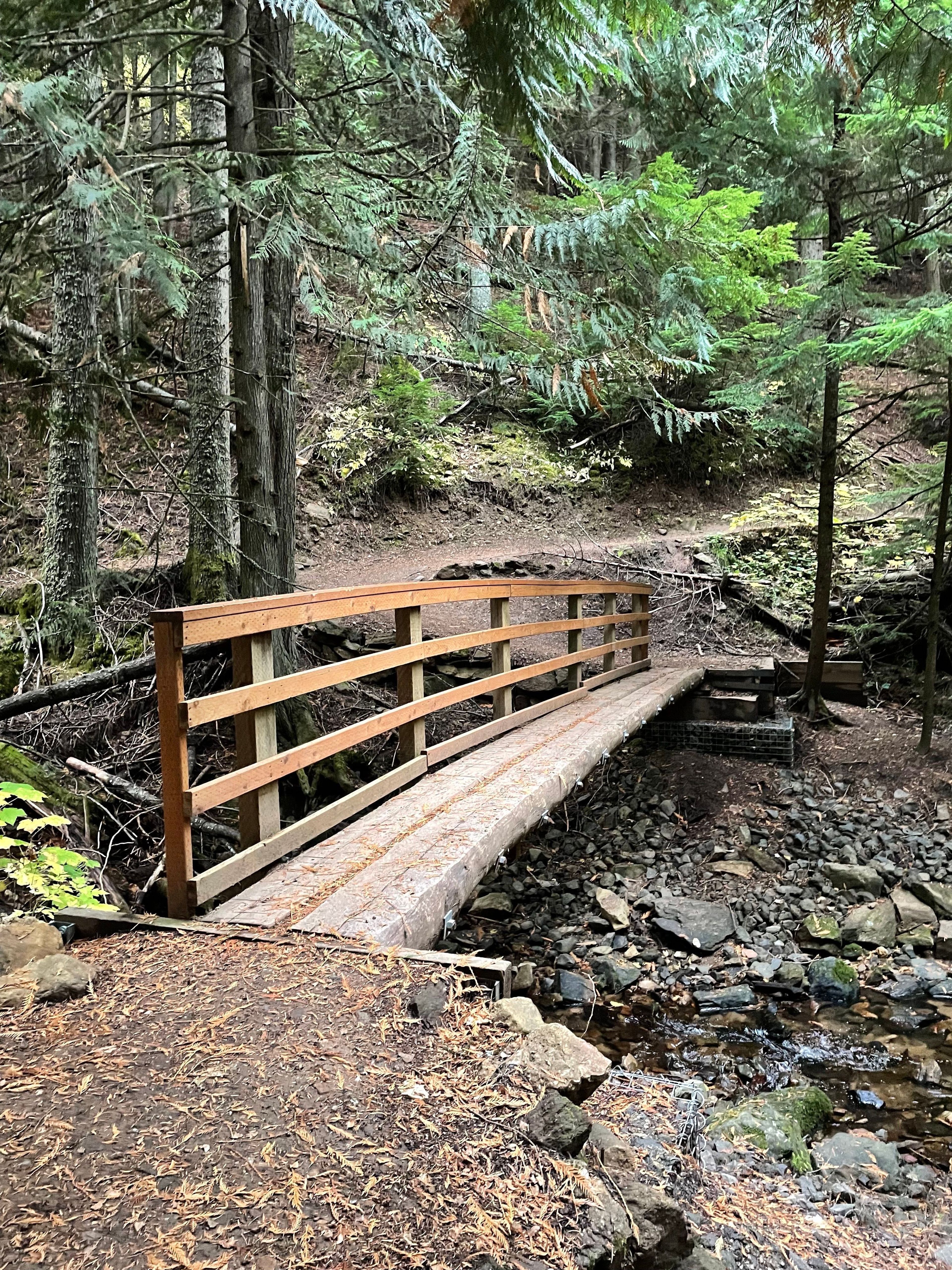 Nice foot bridge in Liberty Lake Regional Park