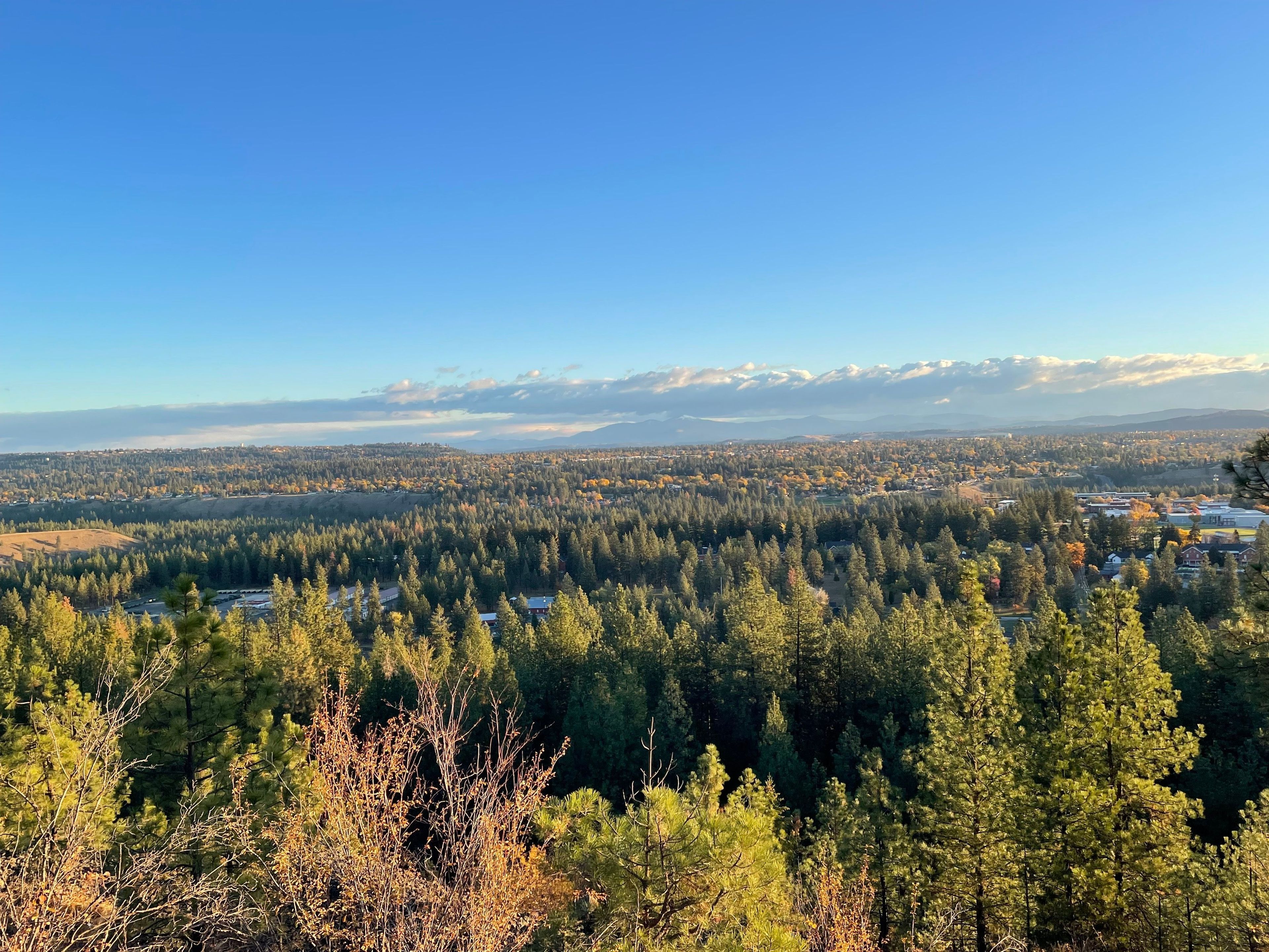 Beautiful view from Palisades Park