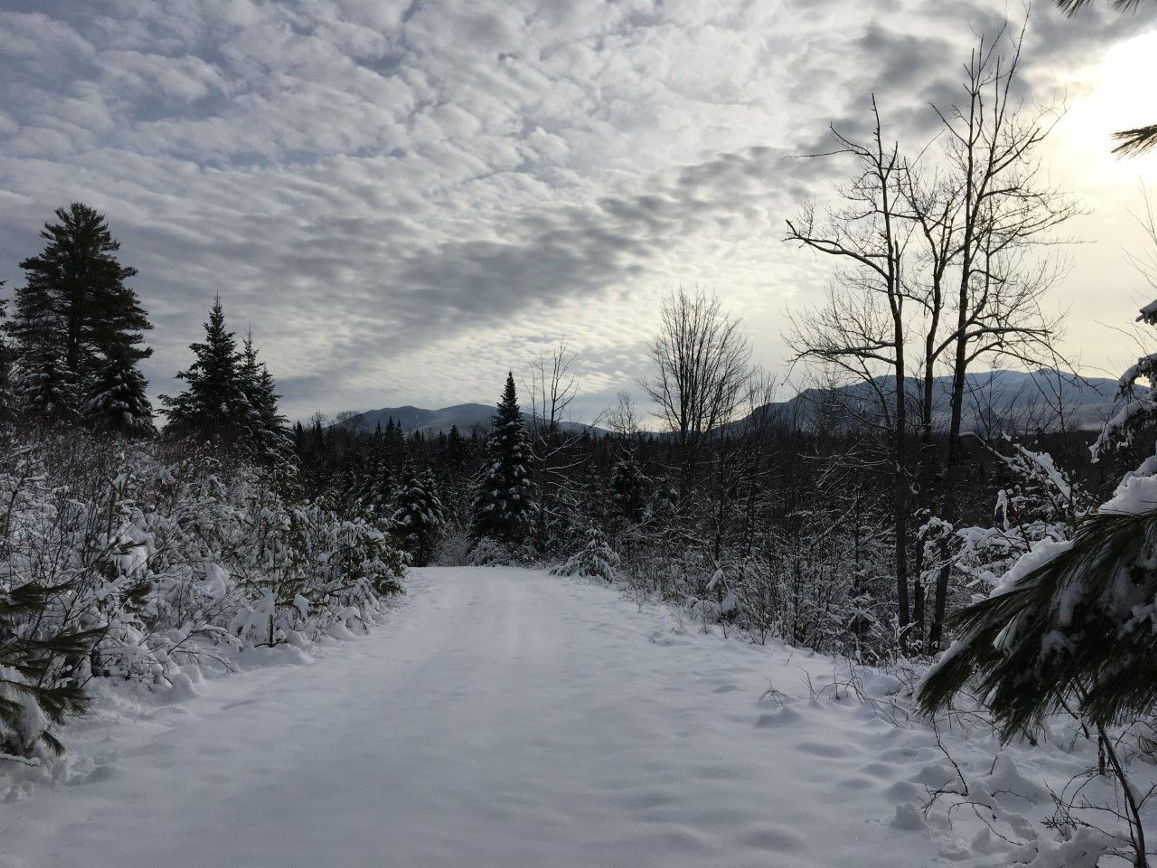 A snow covered, wide trail through the woods with mountains in the background.