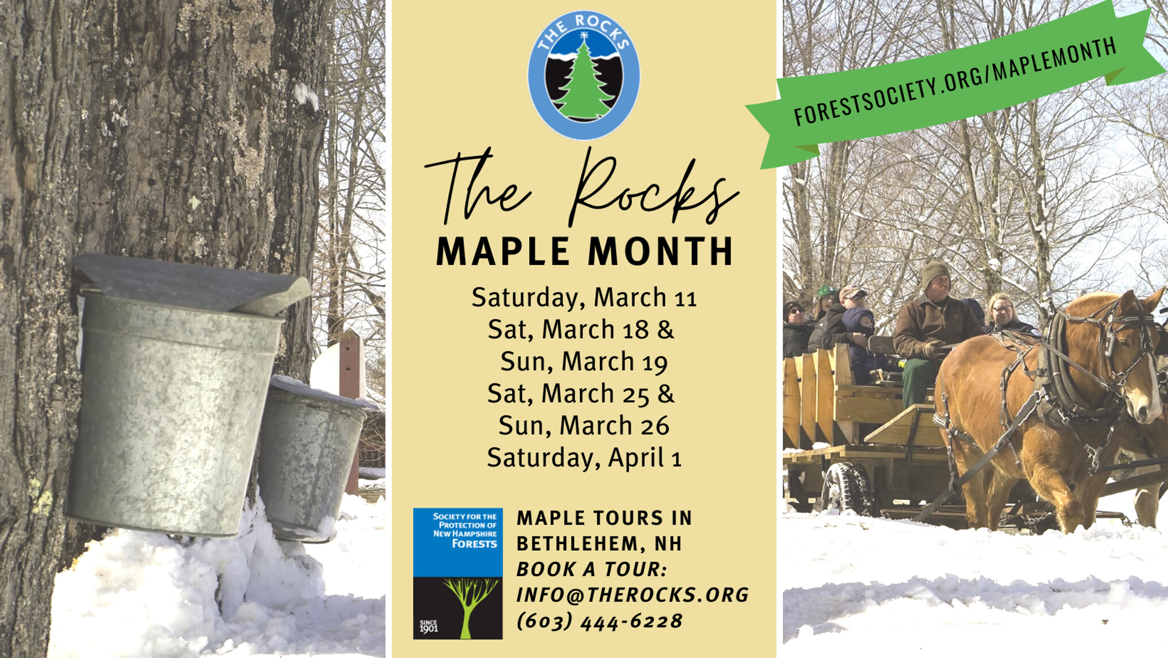 A horse drawn wagon near maple trees with sap buckets with information about Maple Month at The Rocks.