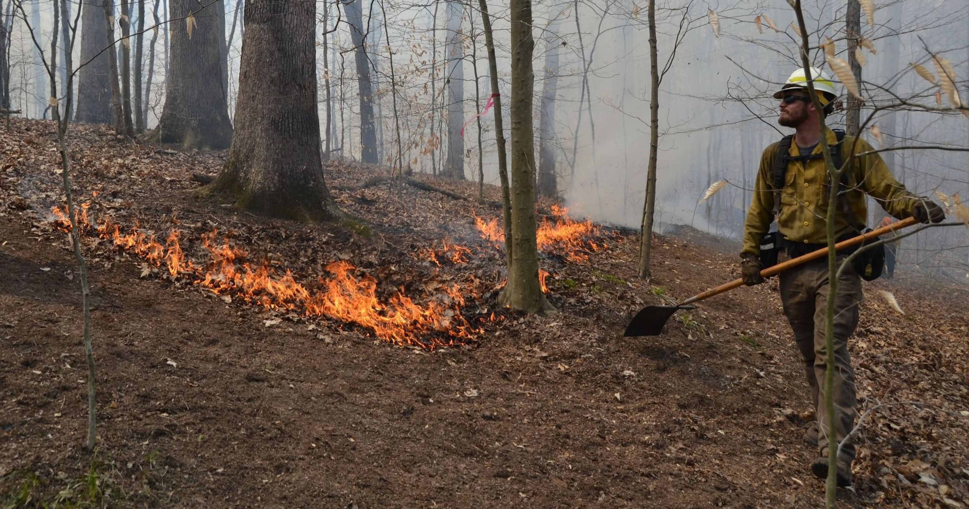 Prescribed burn at Griffy Lake Nature Preserve