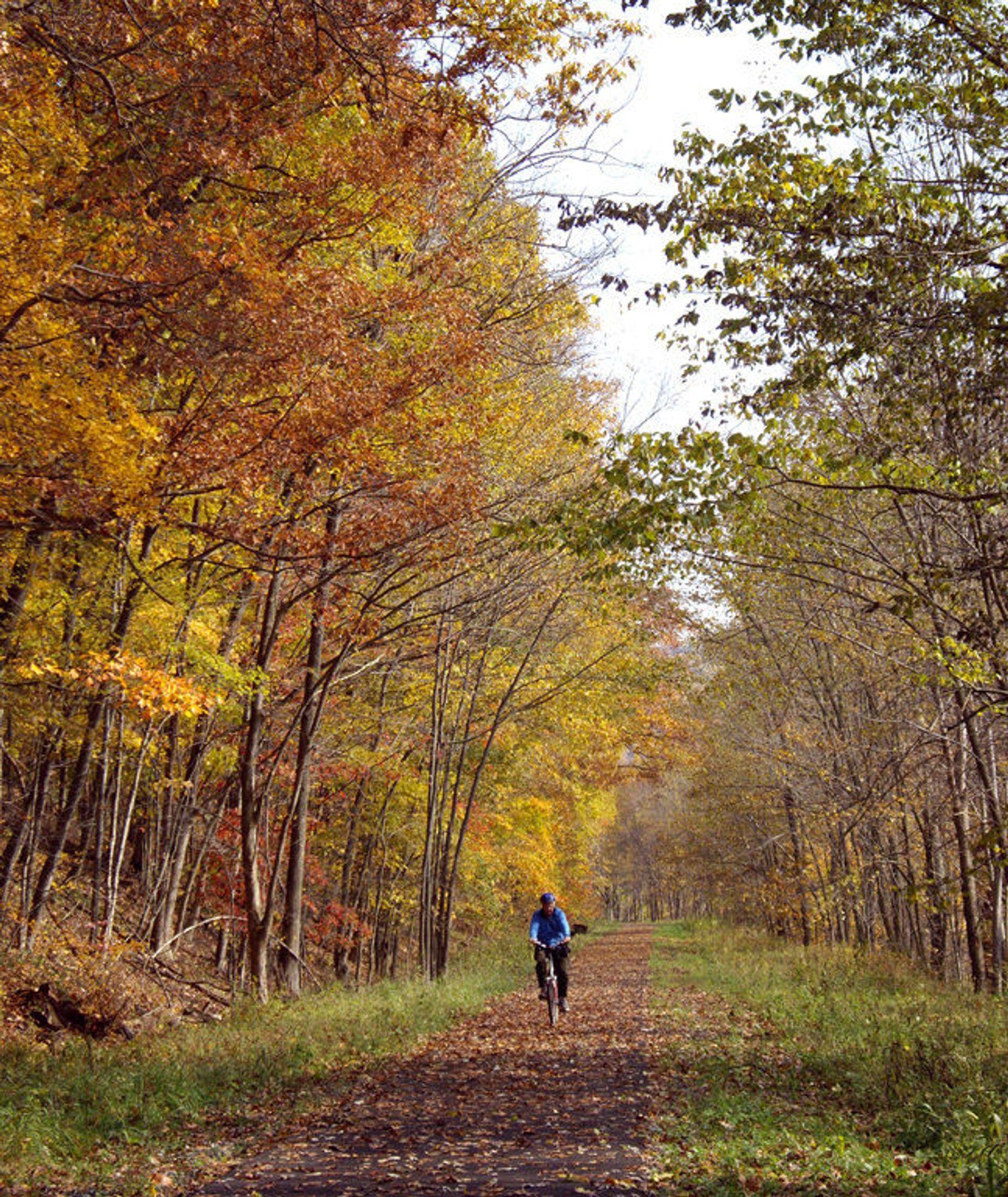 Trail in autumn. Photo by Mary Shaw.