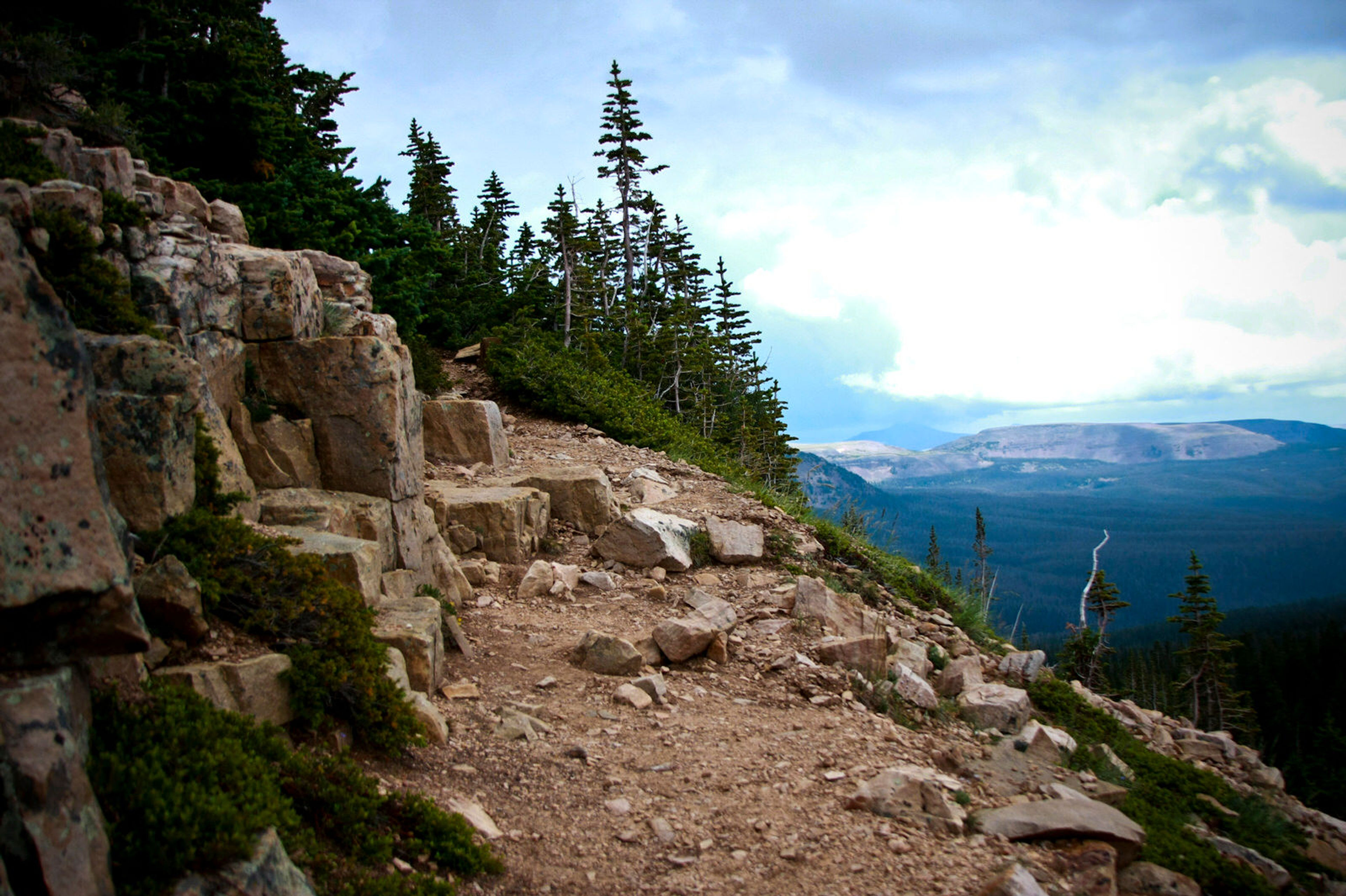 Overlook from trail in the basin. Photo by Allen Phelps.