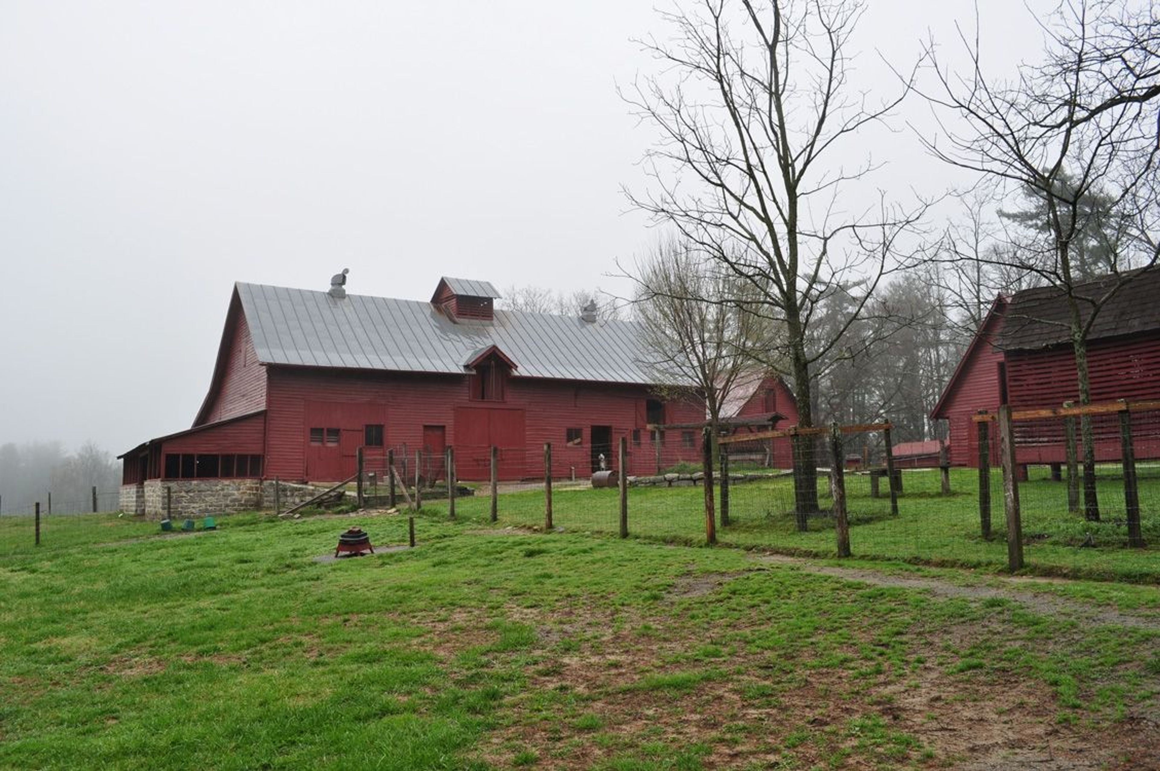 Fog over the pasture. Photo by NPS.