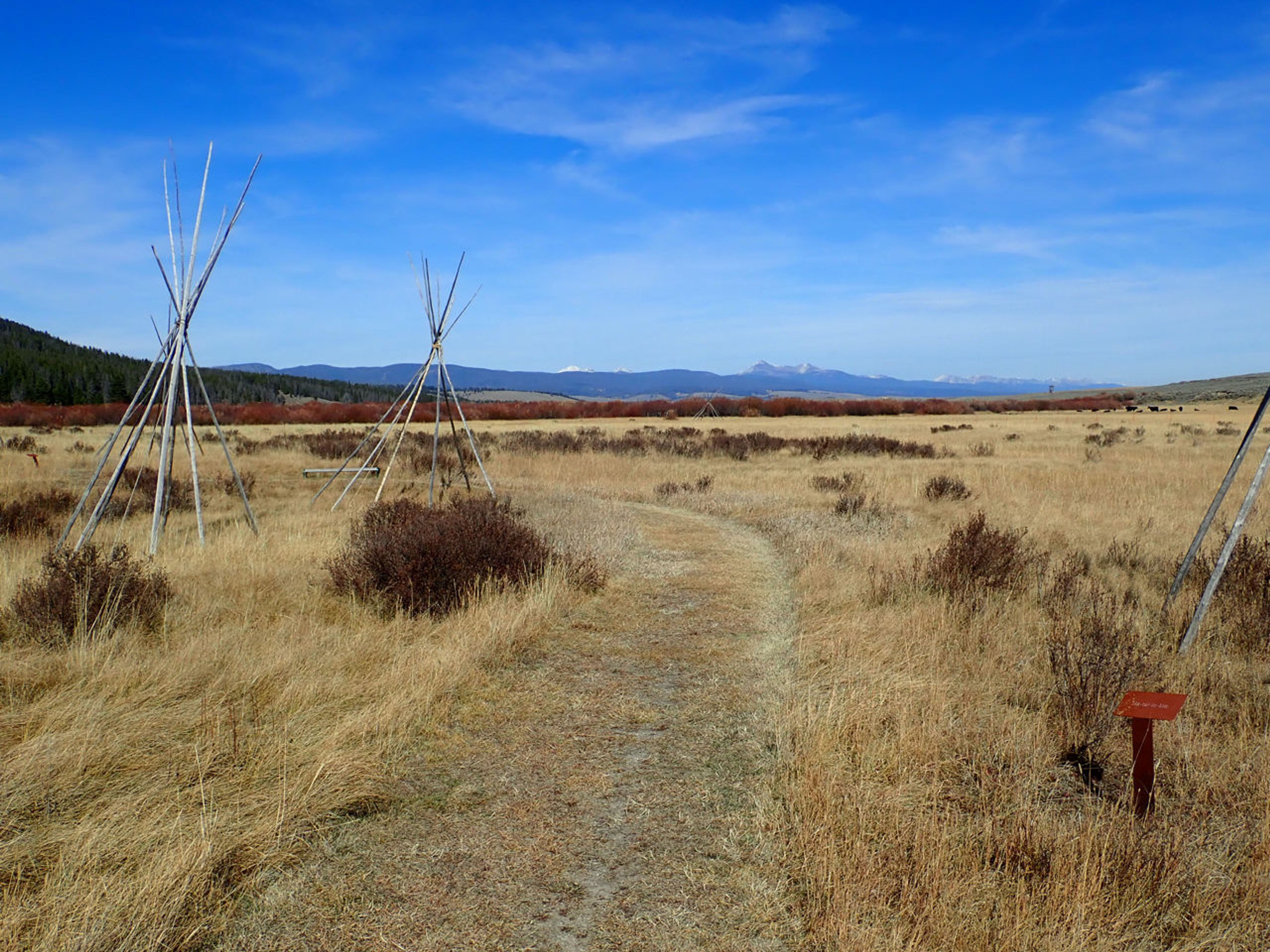 The Nez Perce Camp Trail with the Sapphire Mountains in the distance. Photo by David Lingle.