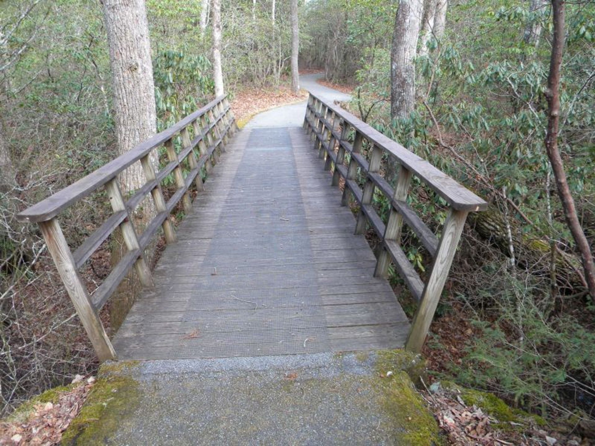 Biltmore Campus Trail