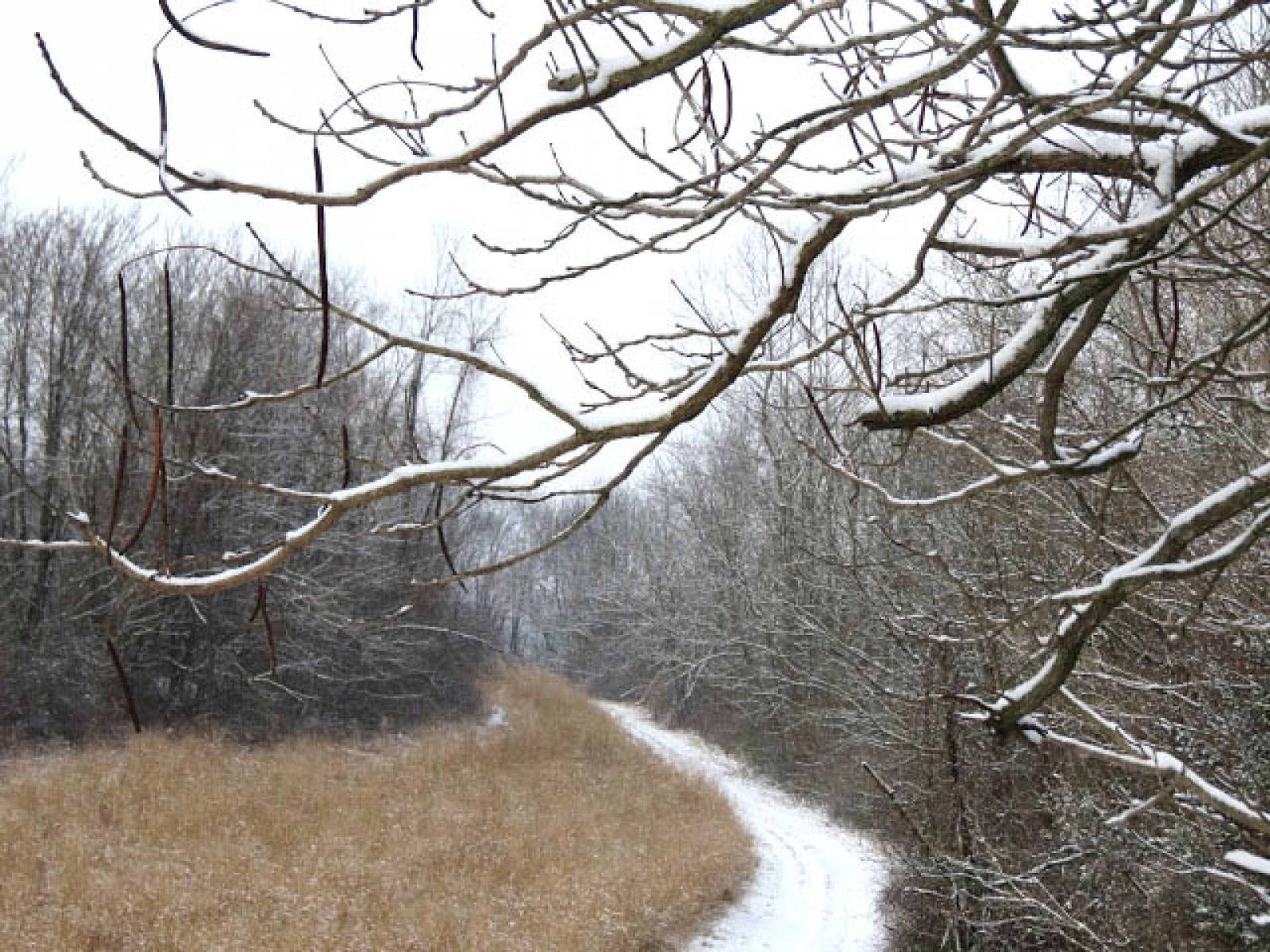 Blue Marsh Lake Multi-Use Trail