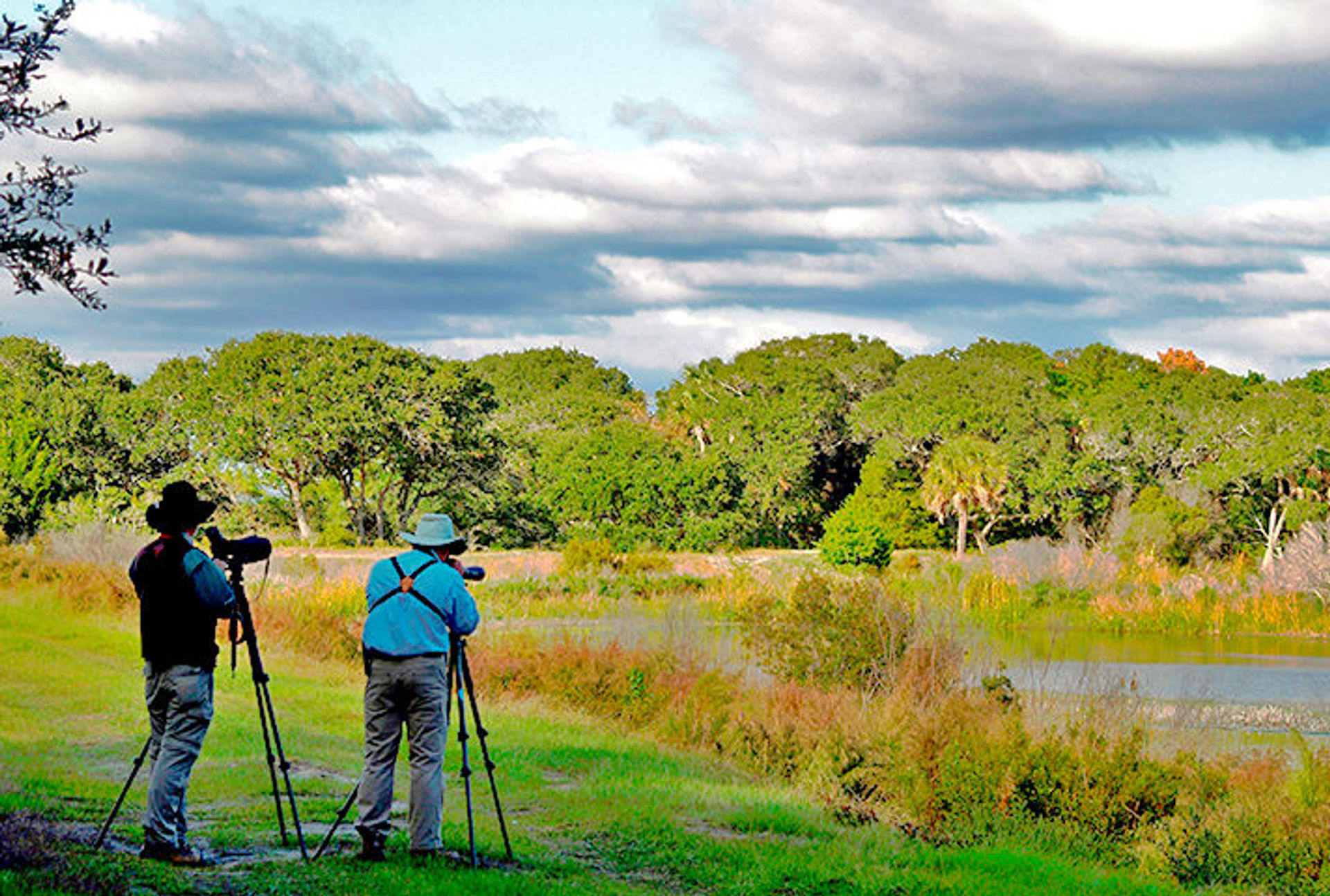 Birding at Bulls Island. Photo by FWS.