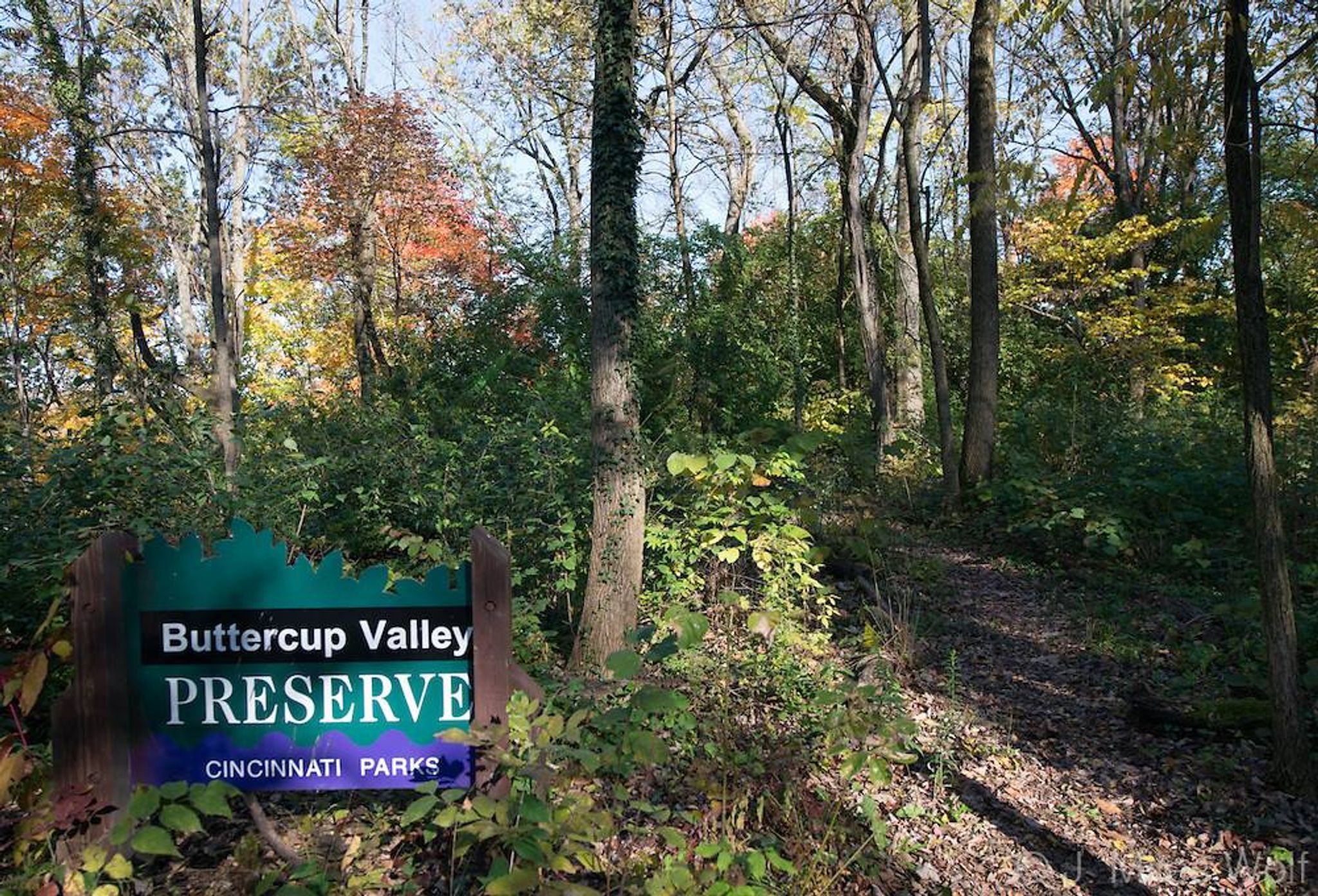 Buttercup Valley Preserve sign. Photo by Cincinnati Parks Foundation.