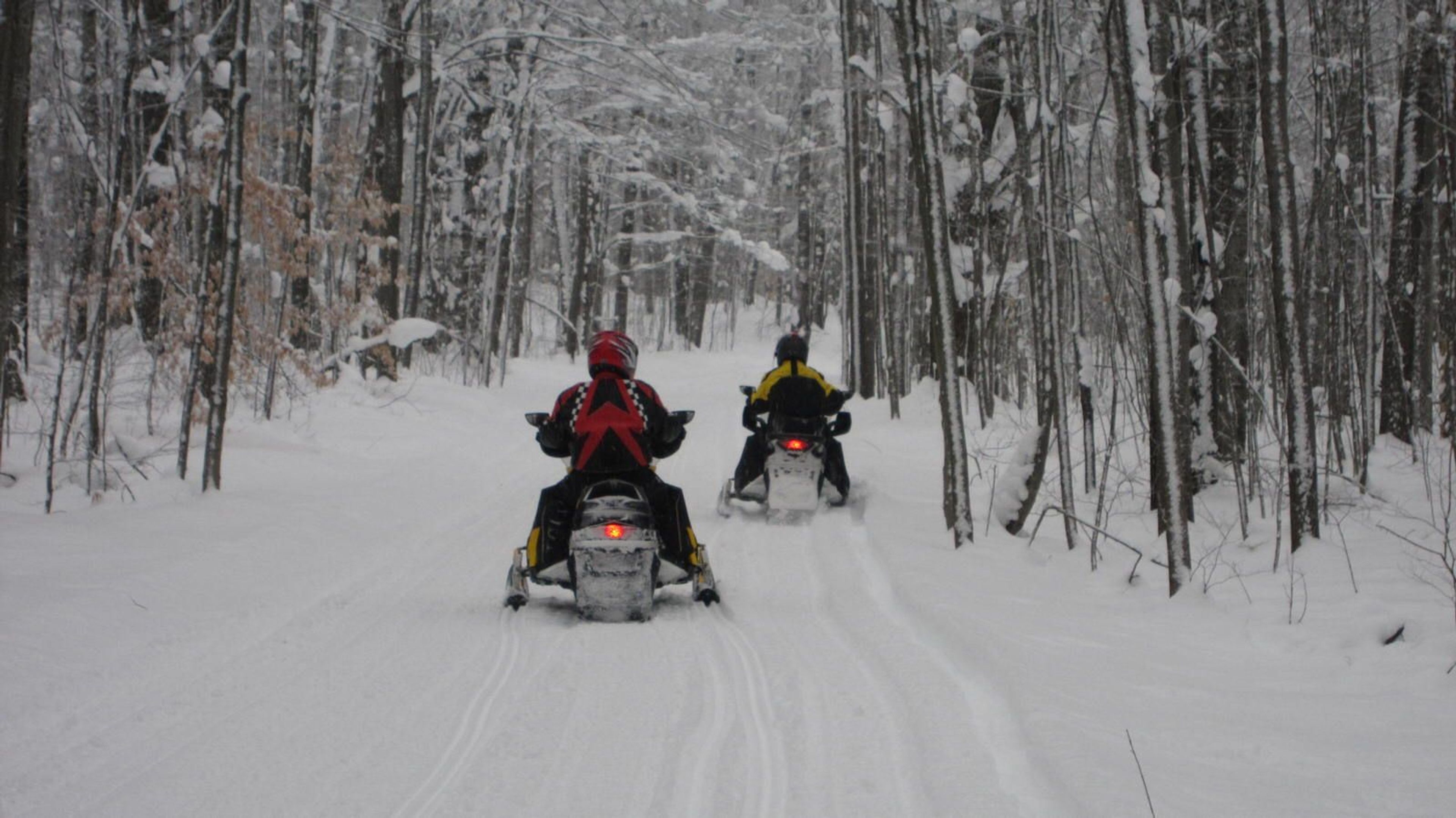 Snowmobilers enjoying fresh snow on this 200 mile trail!. Photo by cadillacmichigan.com.