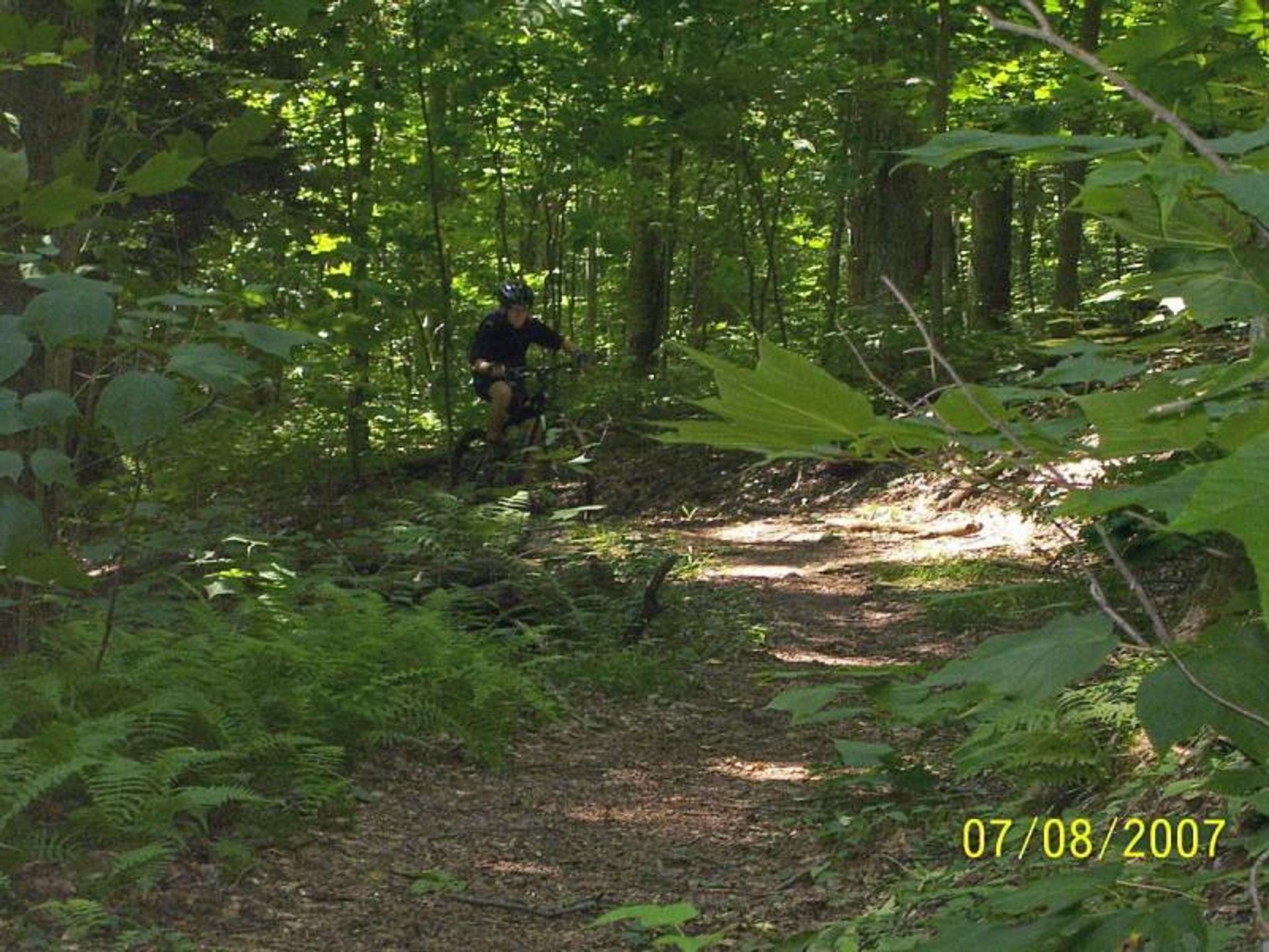 Climbing out of Canaan; https://www.singletracks.com/photo.php?p=30779. Photo by Outdoornut.