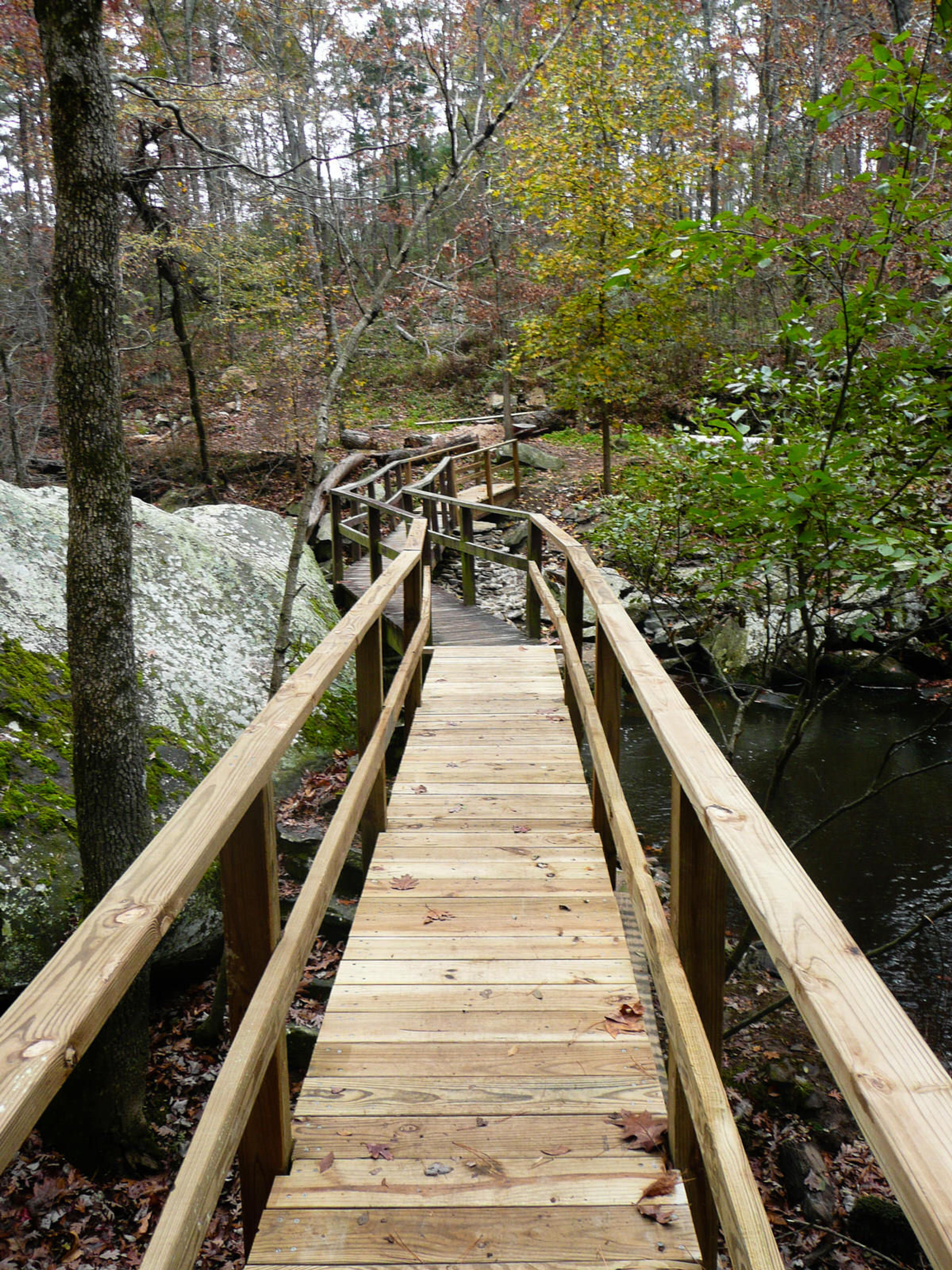 Bridge over Cedar Creek on Cedar Creek Trail. Photo by Bryan Hodges.