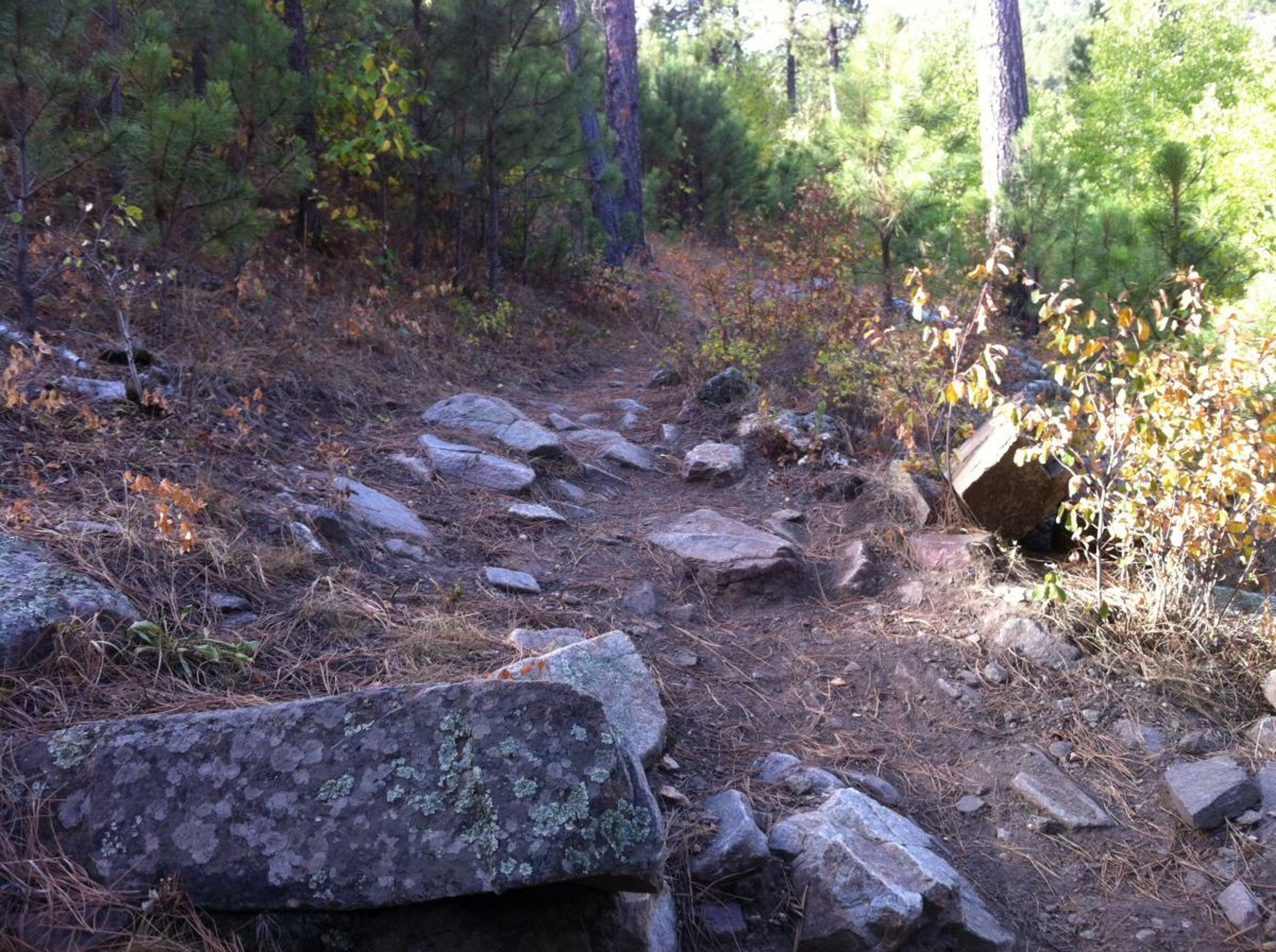 Rock challenges on the trail. Photo by Singletracks/GTXC4.