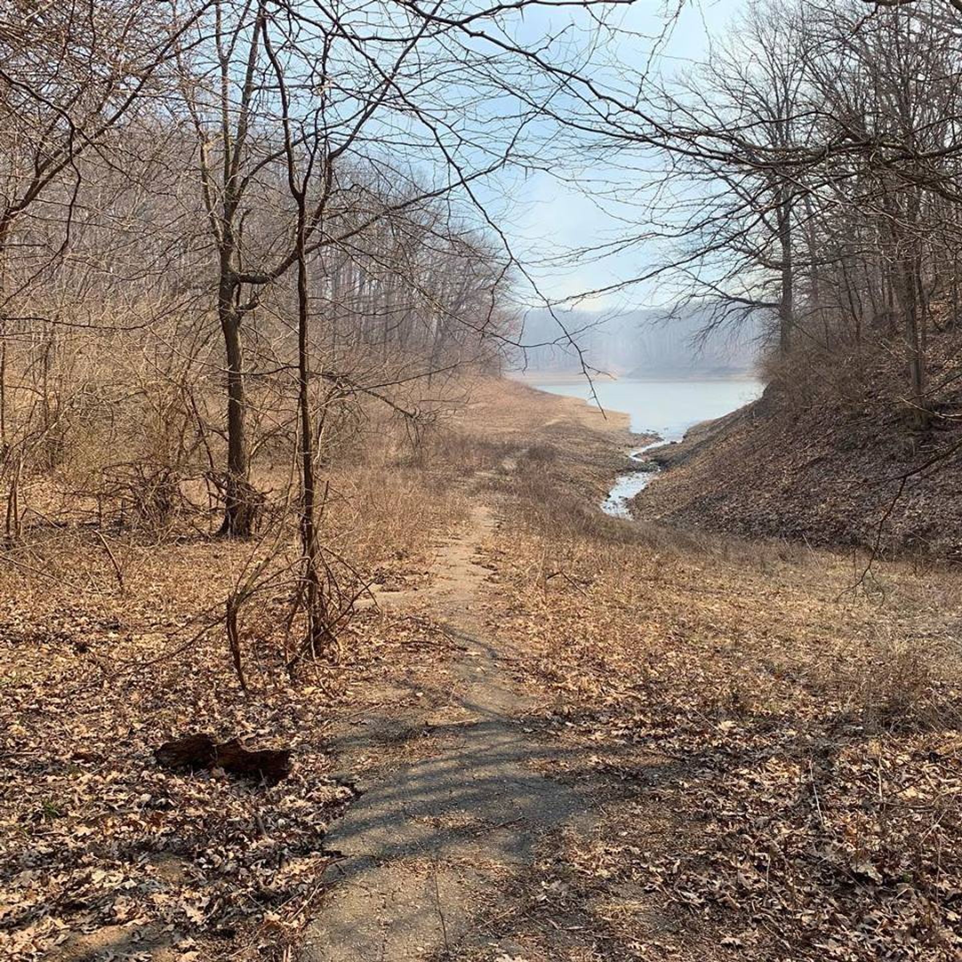 Chief Illini trail near Lone point. Photo by Mike Mitchell.