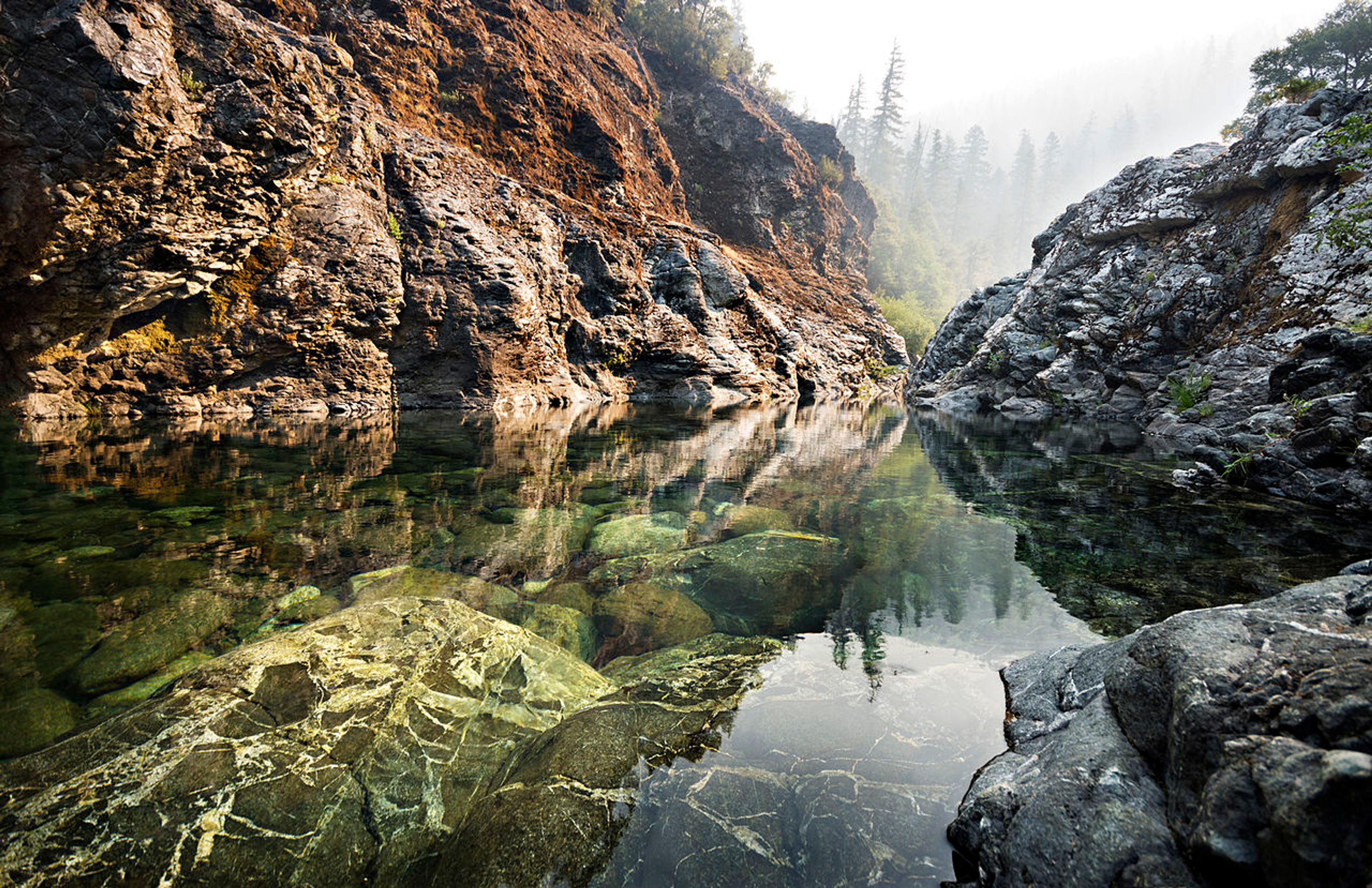 Clear Creek in the Siskiyou Wilderness. Photo by Steven Bratman/wiki.