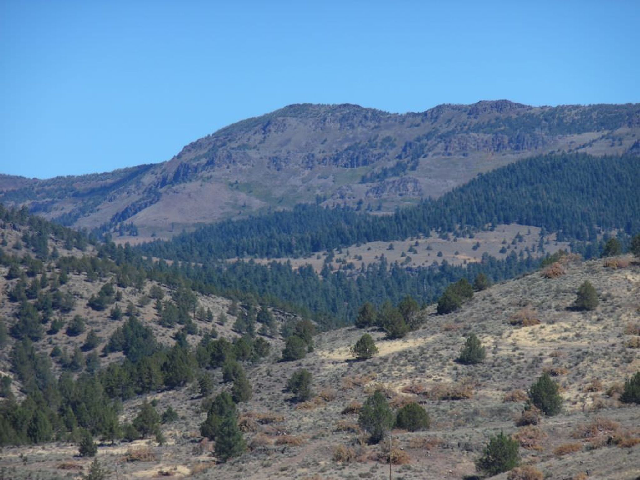 West face of Crane Mountain; the highest peak in Lake County, Oregon. Photo by Orygun/wiki.