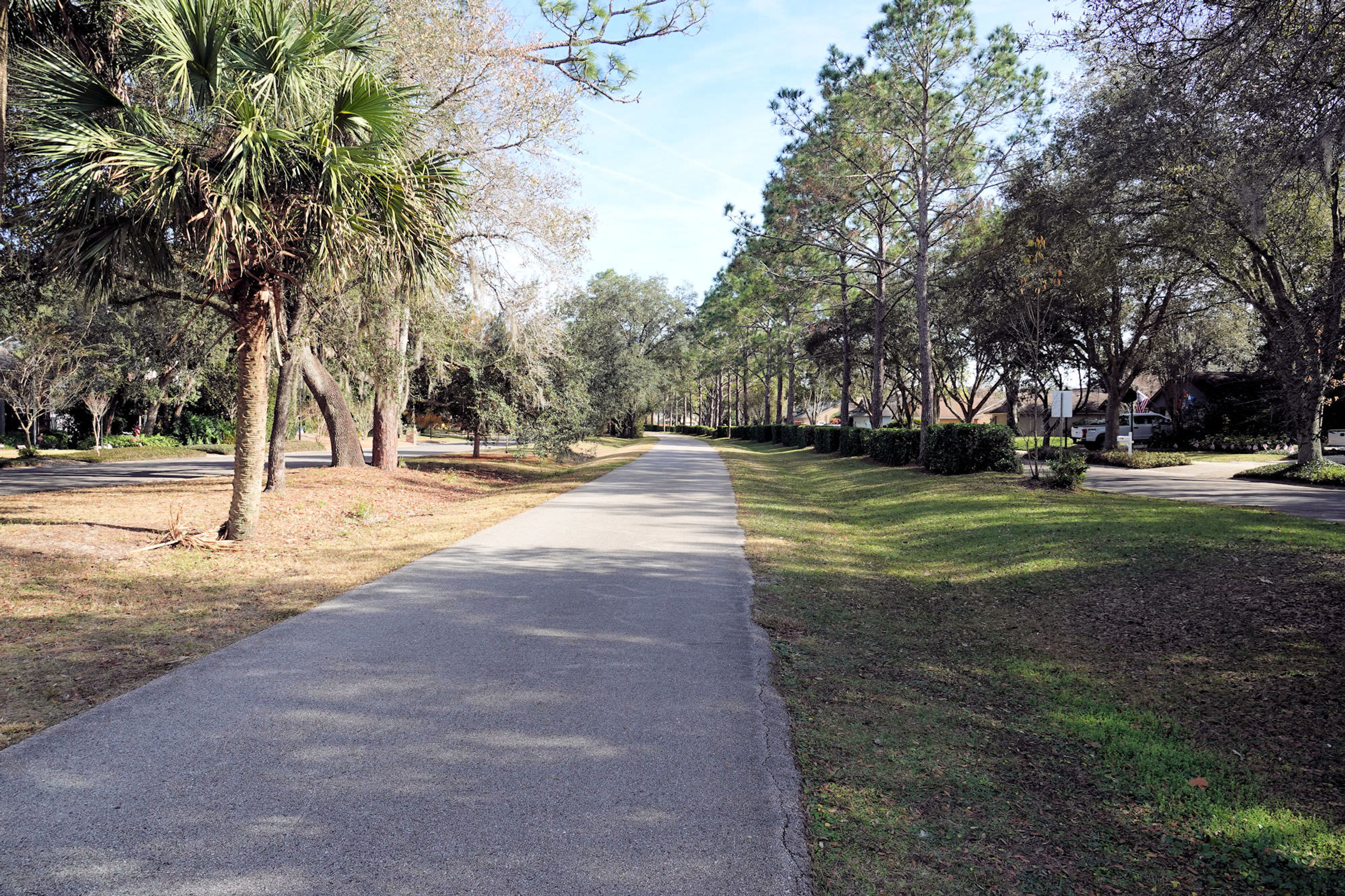 Heading southeast from the Black Hammock Trailhead. Photo by Jim Walla.