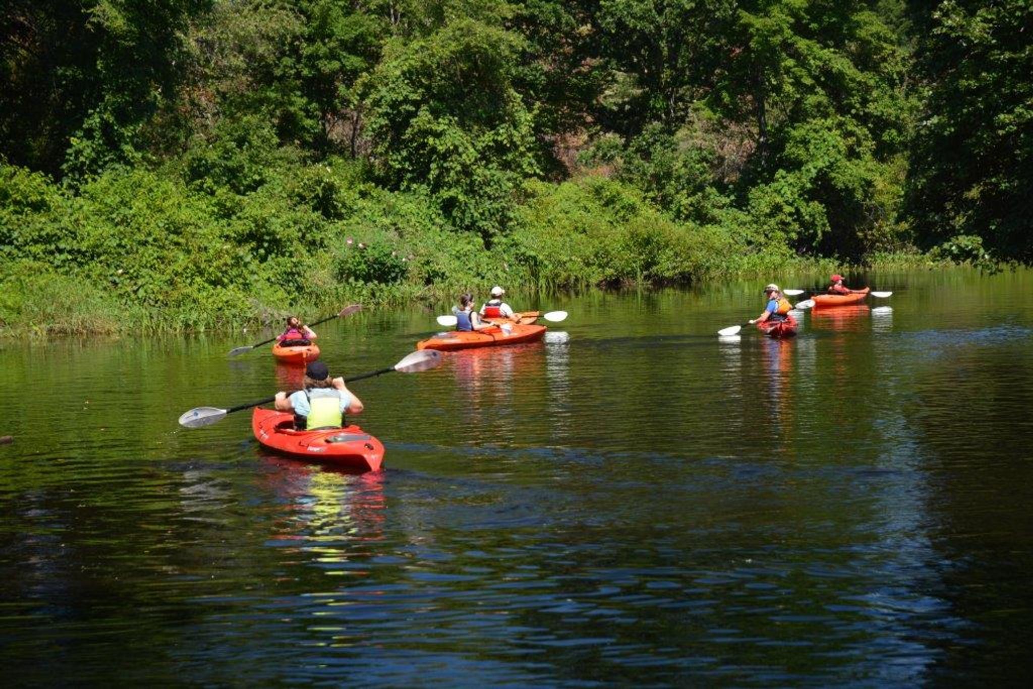 #1 Dolan Center - The Town has canoes and kayaks available.