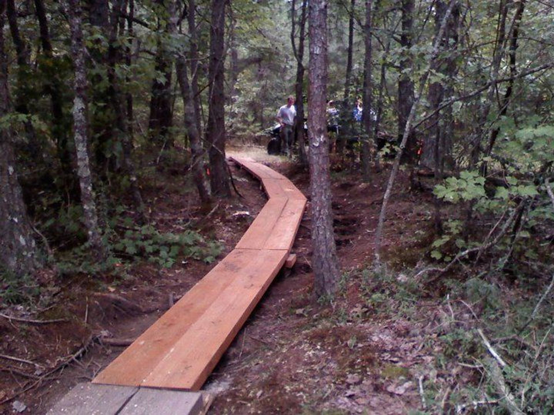 Mountain bike trail. Photo by Rob Grant.