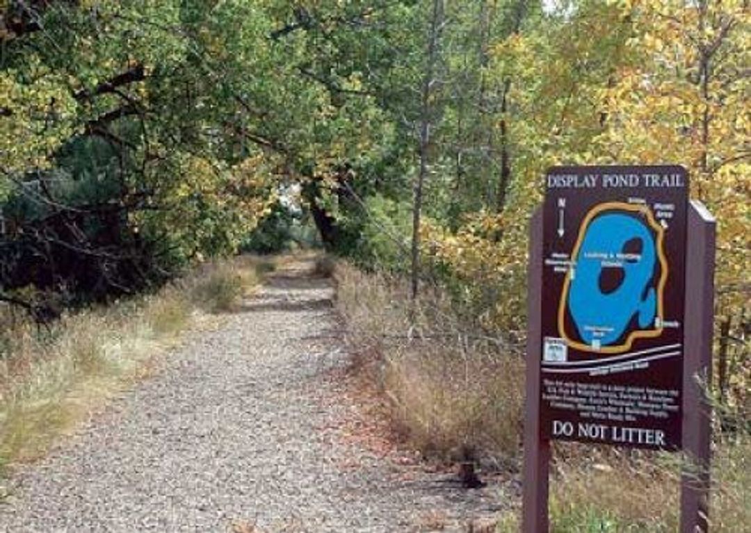 DISPLAY POND TRAIL IN BOWDOIN NATIONAL WILDLIFE REFUGE