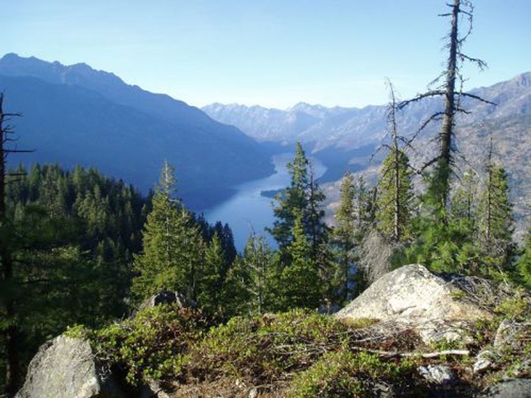 Okanagan-Wenatchee National Forest; up Lake Chelan in central Washington state (photographer: Lisa Therrell).