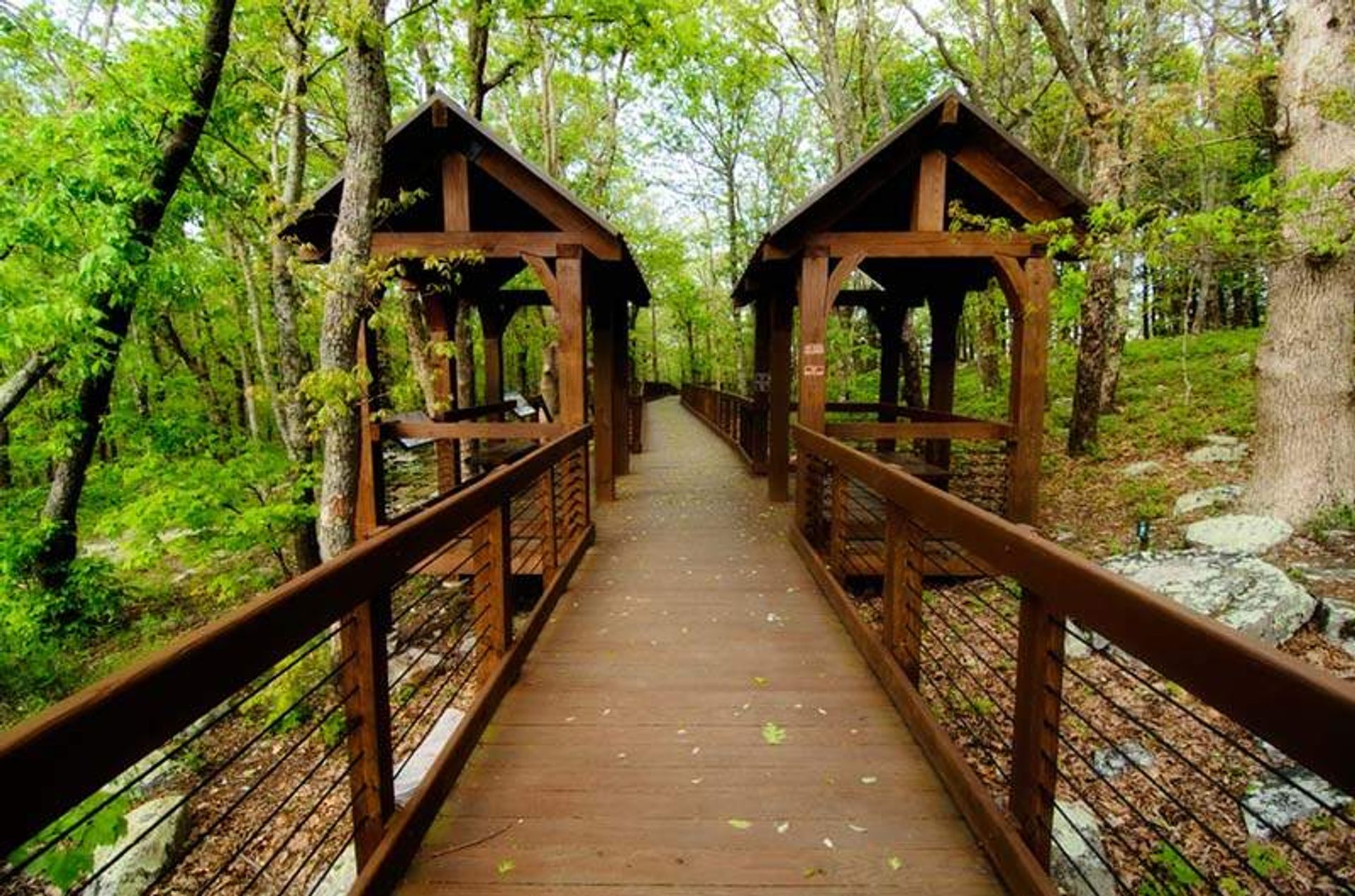 Doug Ghee Accessible Trail (Bald Rock Boardwalk)