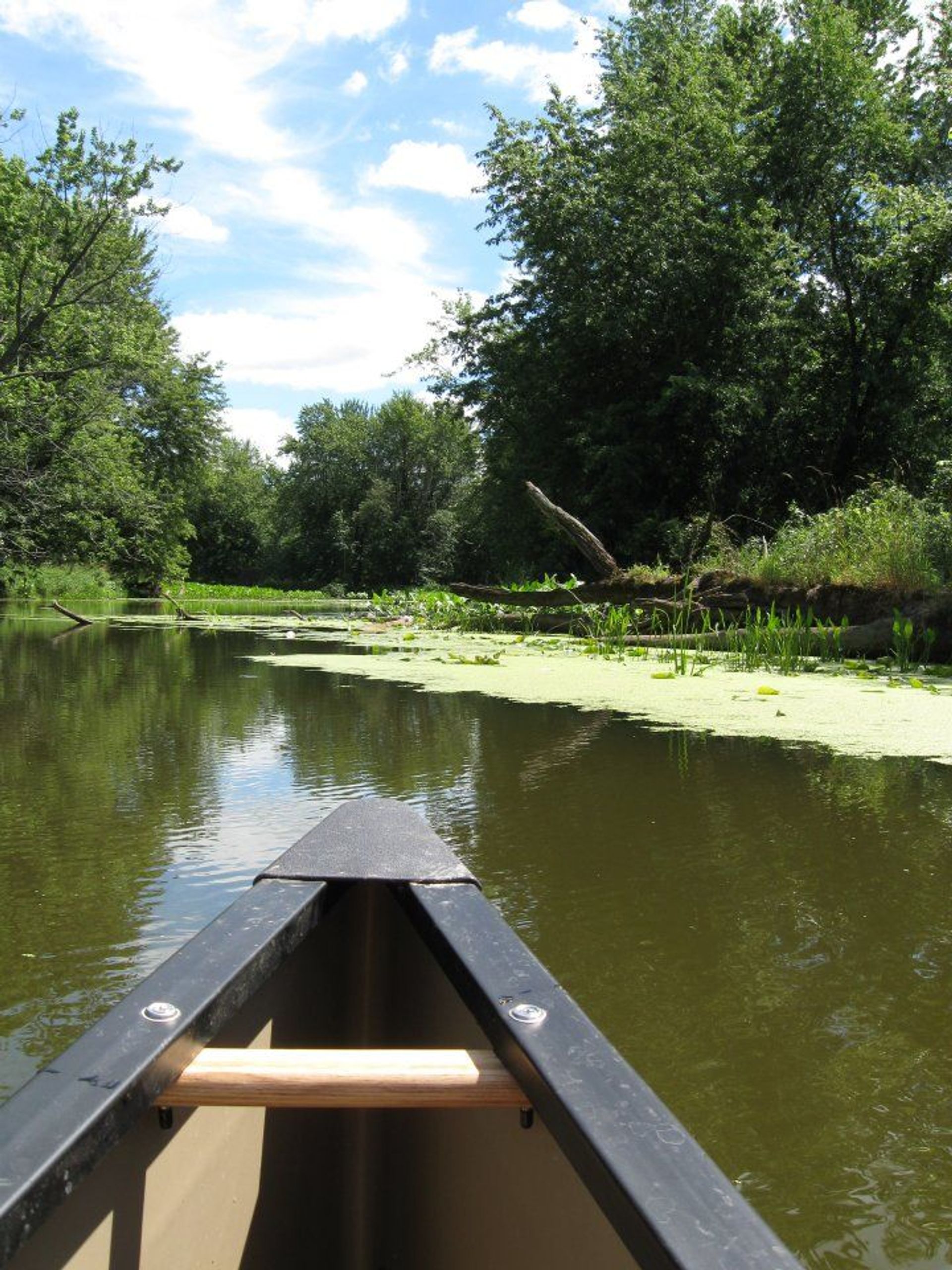 Finger Lakes Canoe Trail