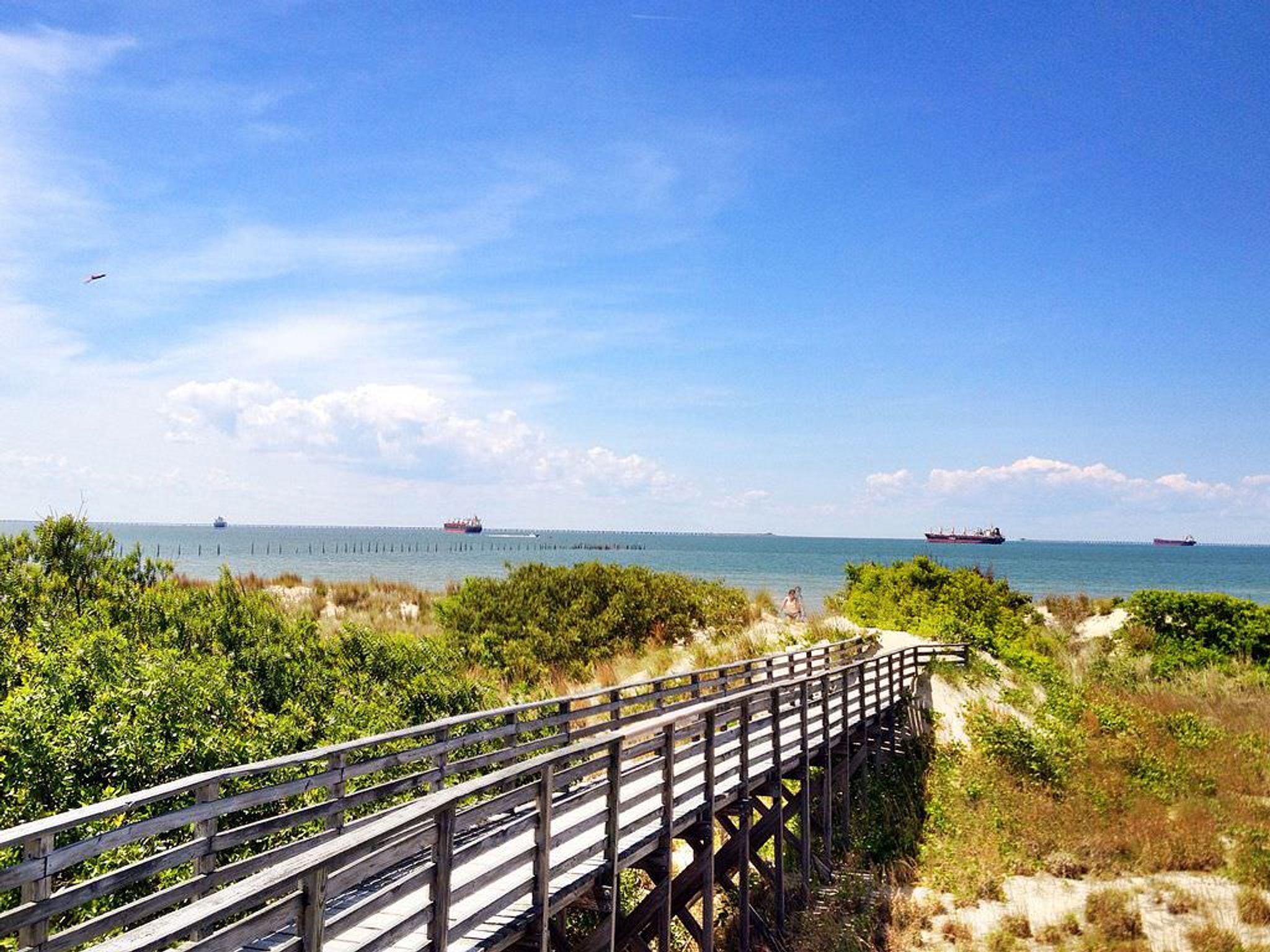 First Landing State Park looking towards Chesapeake Bay entrance. Photo by David Broad.