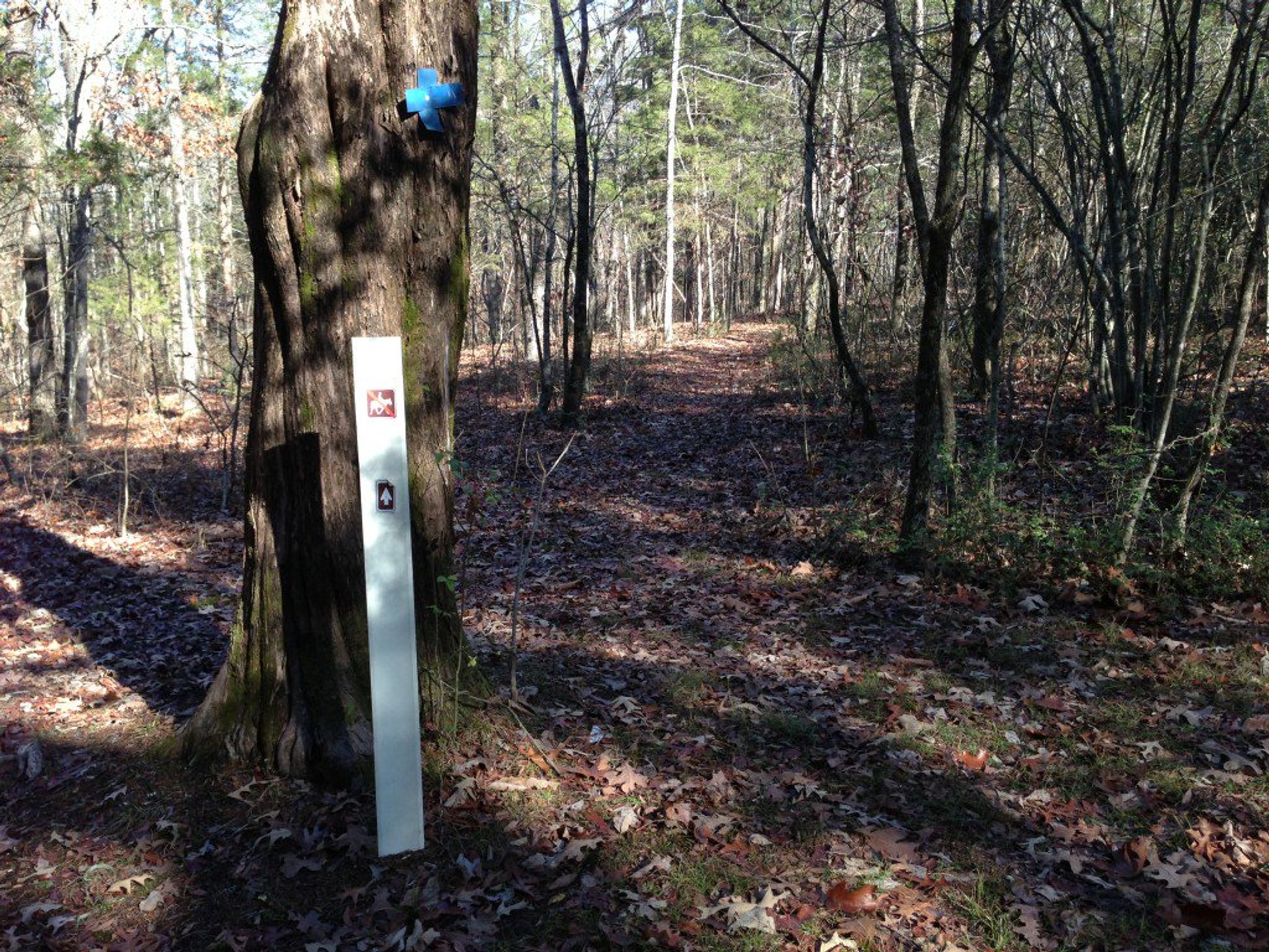 Fort Henry Trail System in Land Between the Lakes. Photo by USDA Forest Service.