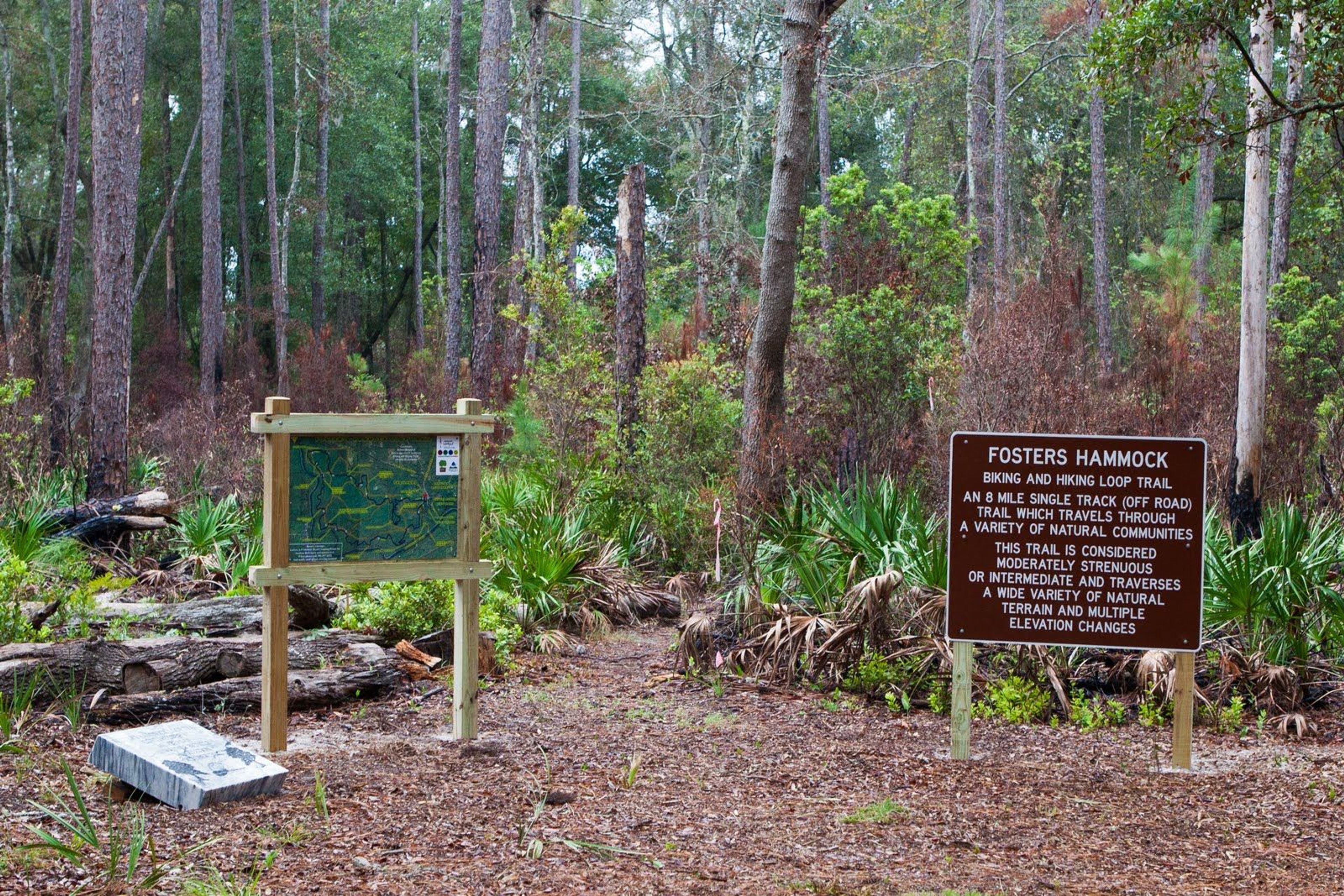 Foster's Hammock Loop Trail Head