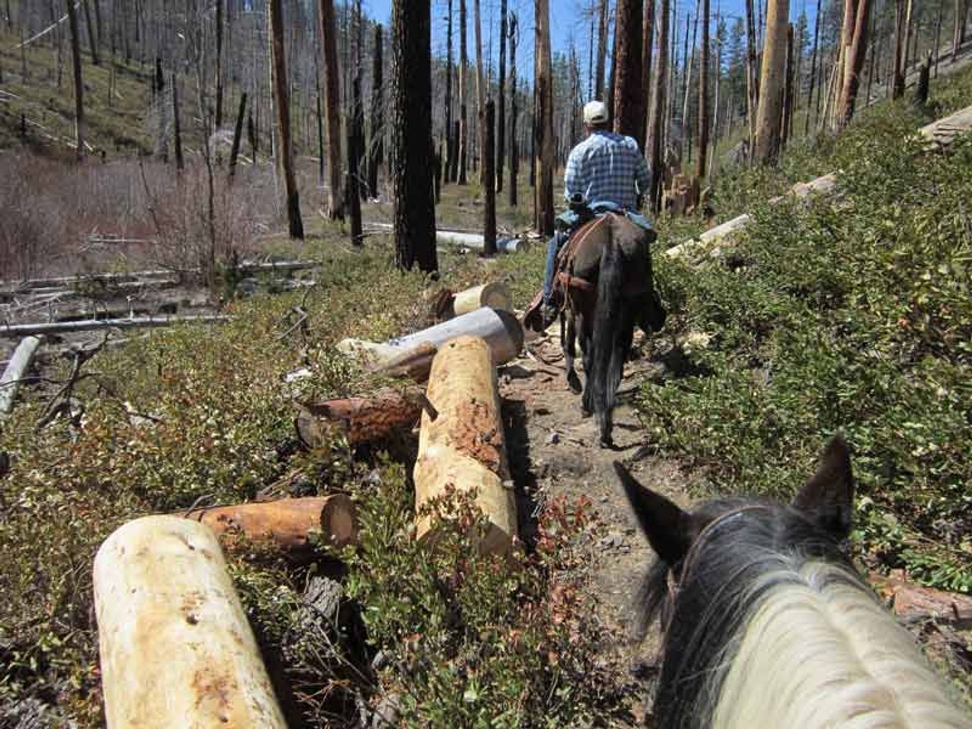 On the Fremont National Recreation Trail #160 in Fremont National Forest, Oregon; photo by Lane & Linda Thomas