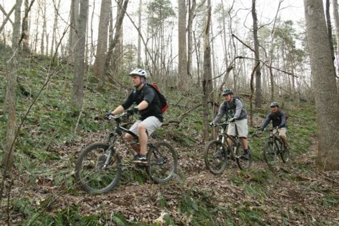 Fern Bank Ride