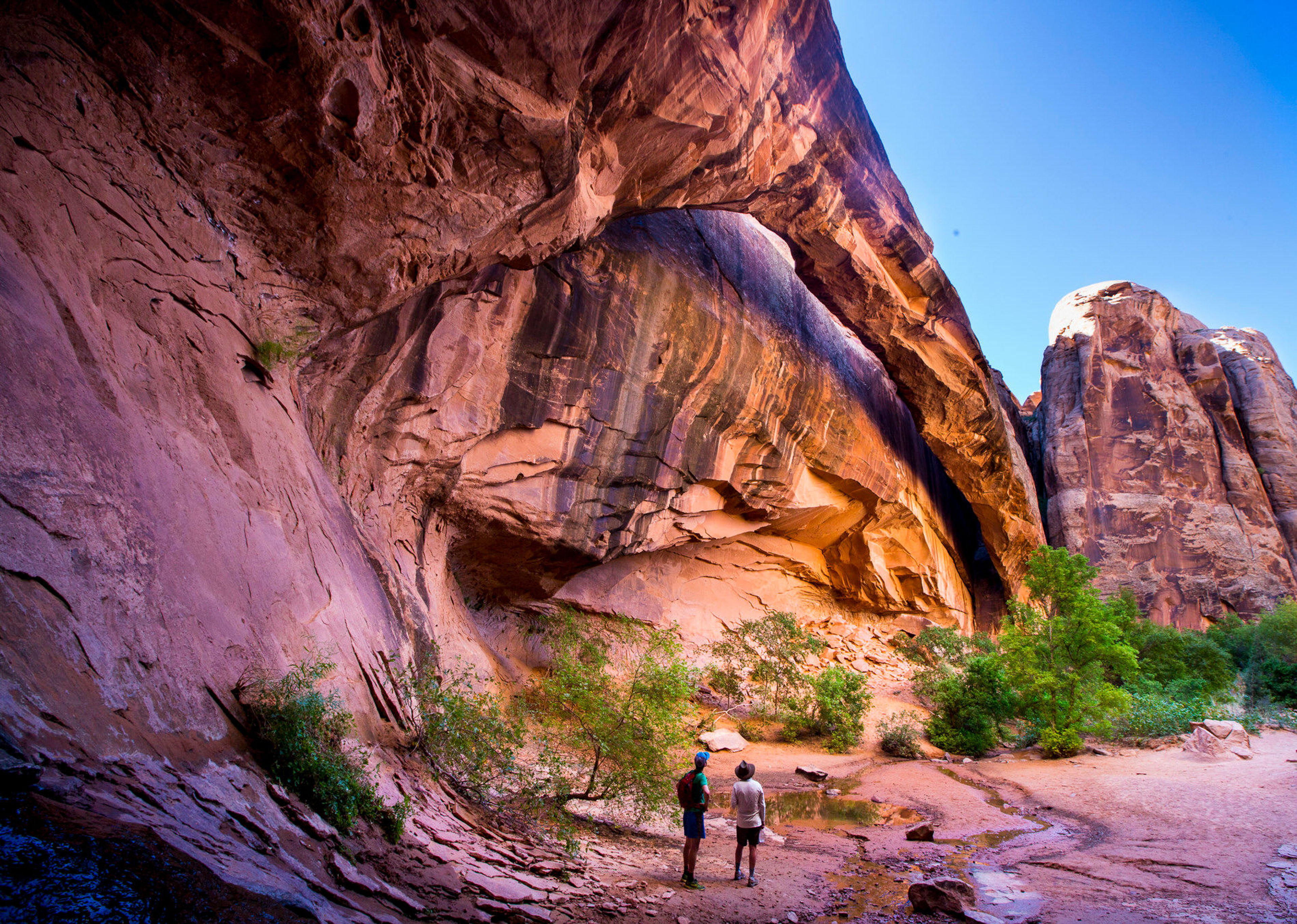 Morning Glory Natural Bridge