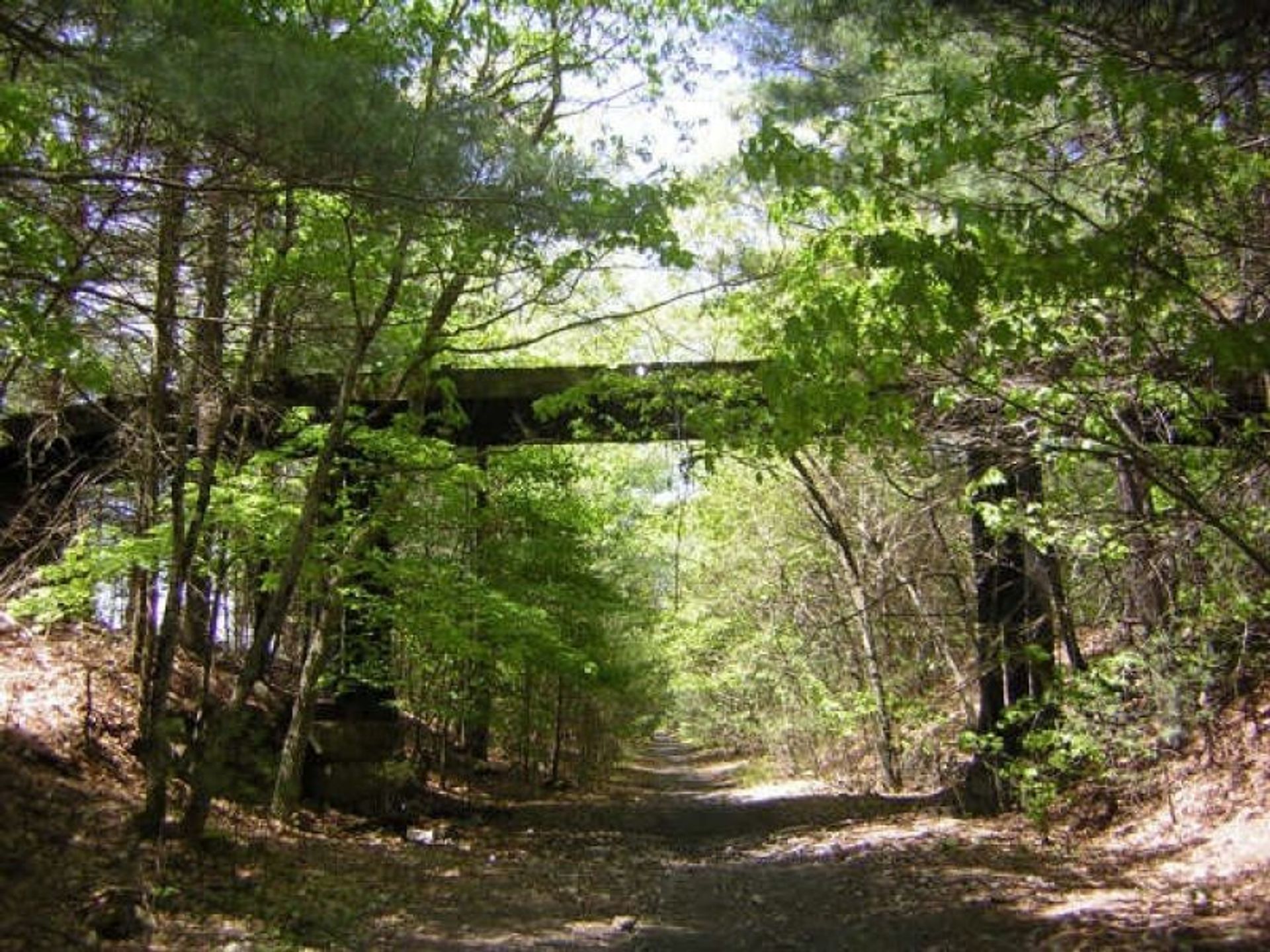 Old road bridge near Connecticut line, Douglas, MA. Photo by Scott Benoit