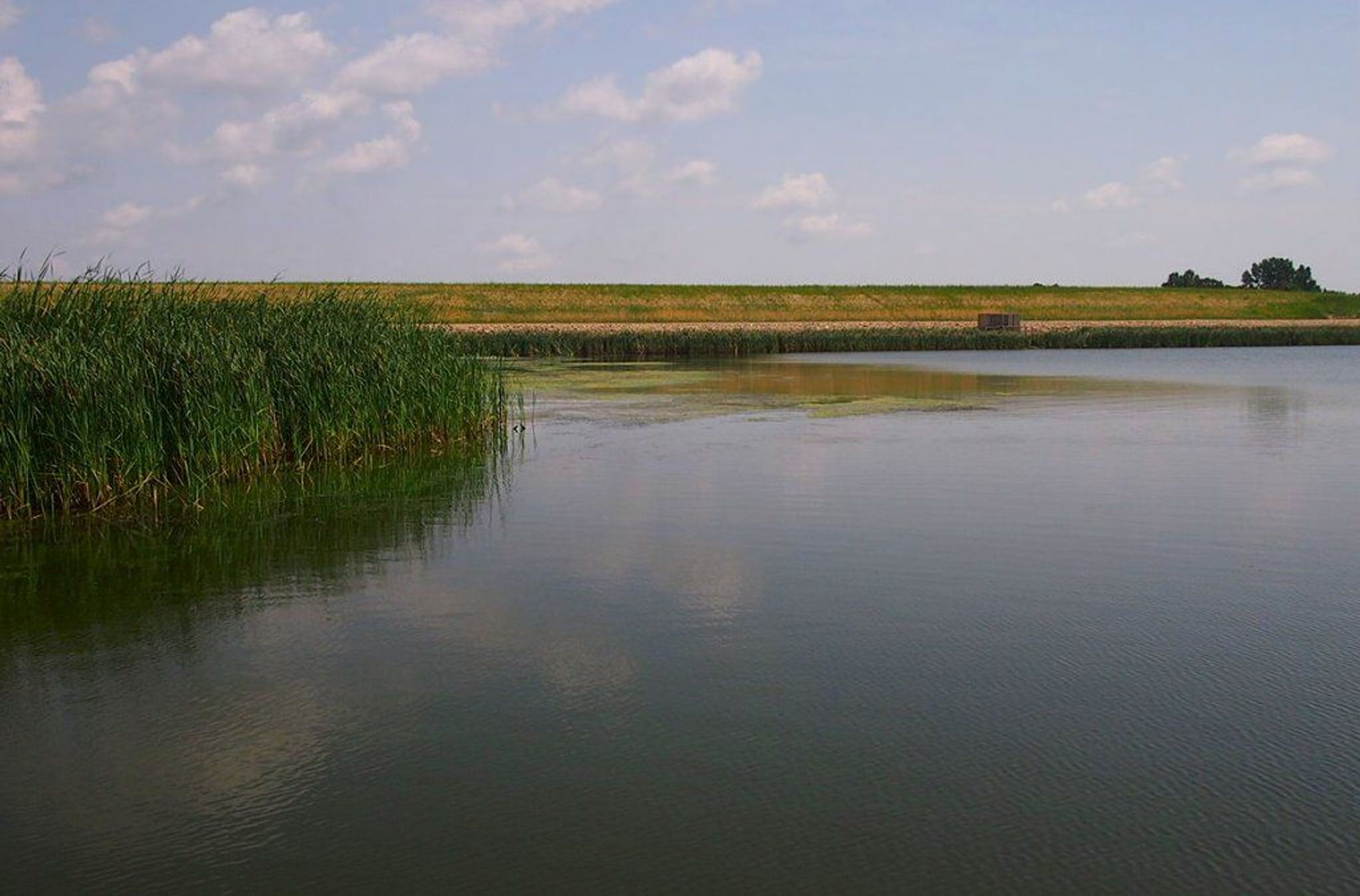 Renwick Dam creating Lake Renwick, Icelandic State Park, North Dakota. Photo by McGhiever.