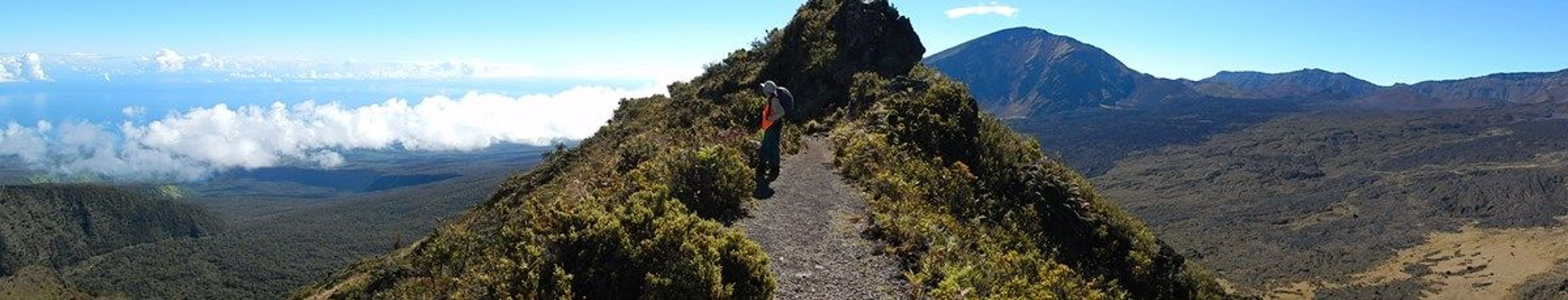 Halemau'u Trail at "Rainbow Bridge" on a clear day. To the left of the trail is the Ko'olau Gap; to the right of the trail is th. Photo by NPS, Forest and Kim Starr.