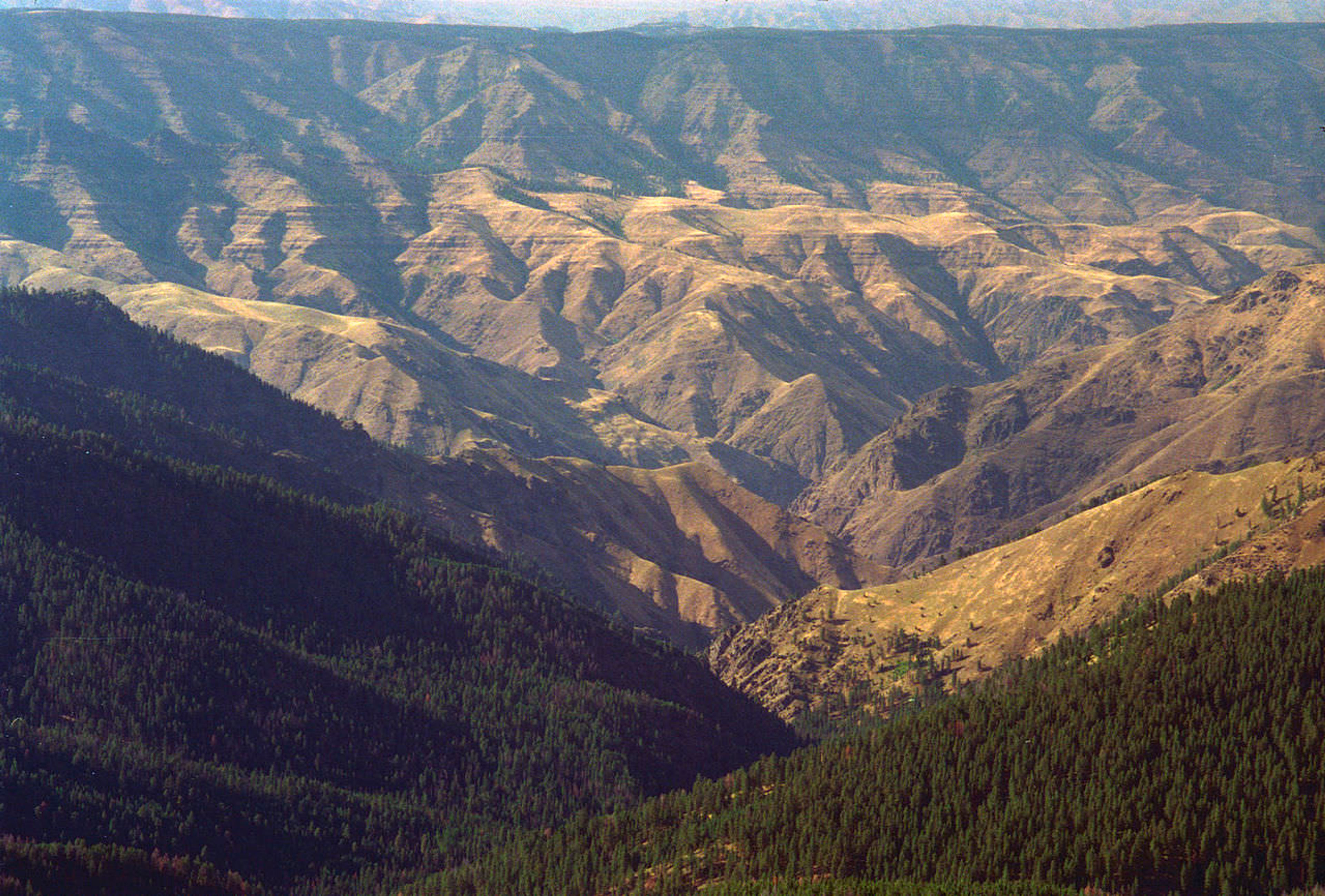 Hell's Canyon from Heaven's Gate Overlook. Photo by Dsdugan/wiki.